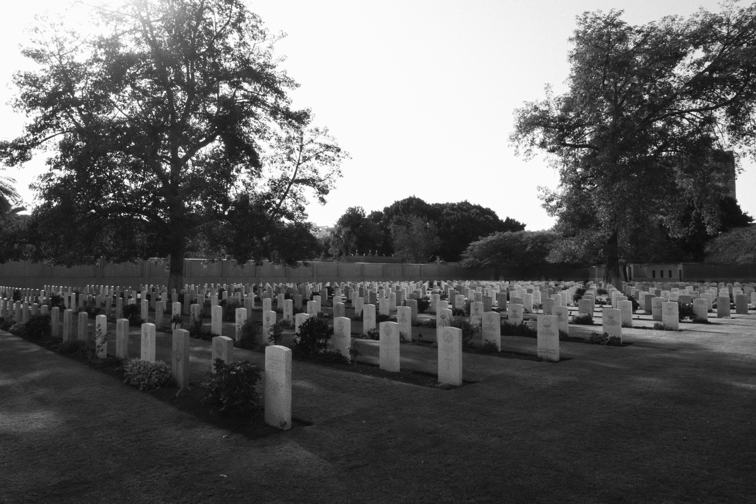 War Memorial Cemetery / Cairo, Egypt AW25. Фотограф Юрин Евгений