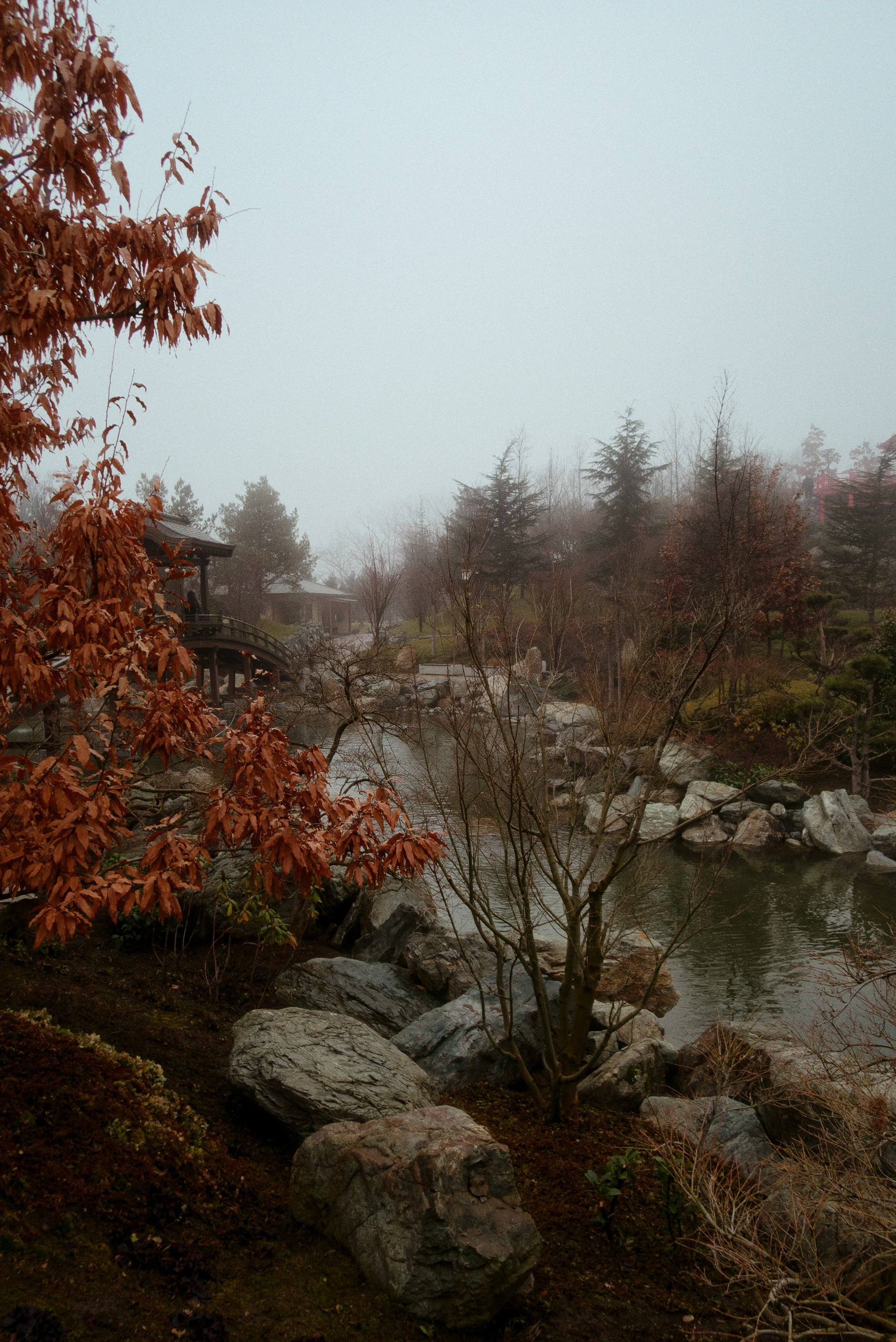 OM-System Tough-7 / Park Krasnodar (japan). Фотограф Юрин Евгений