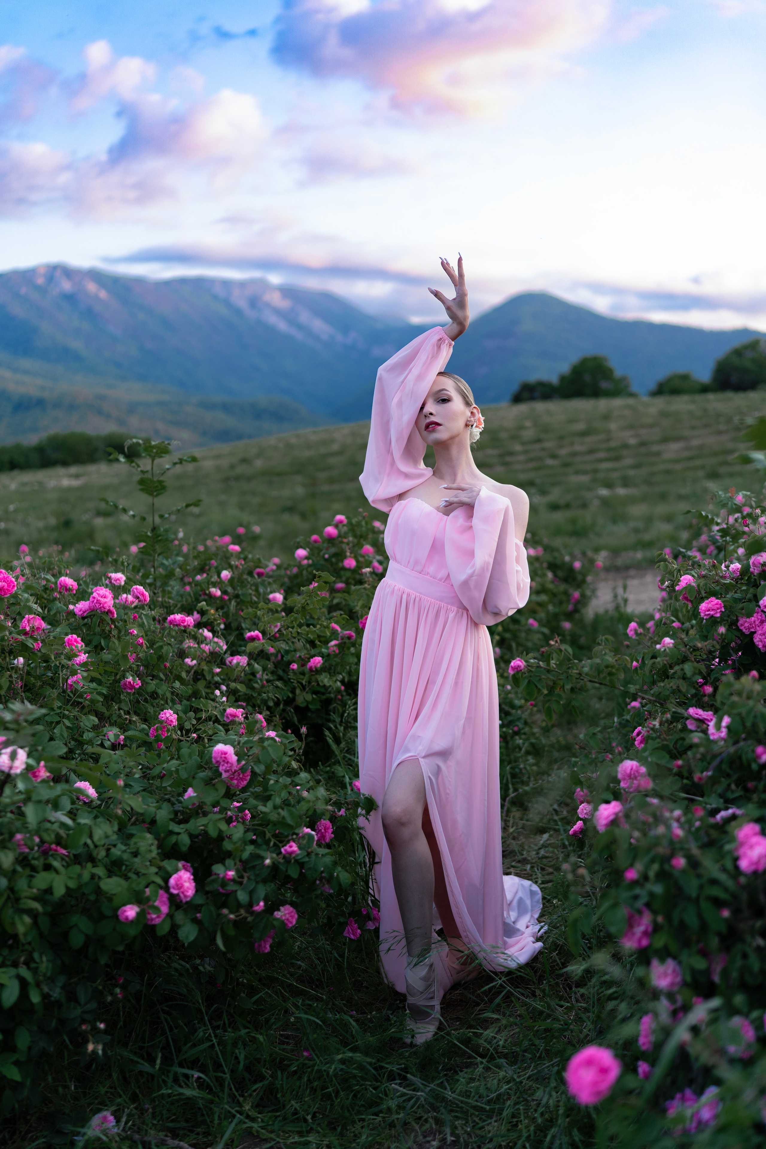 Розы. Фотограф в Крыму Лебедева Александра