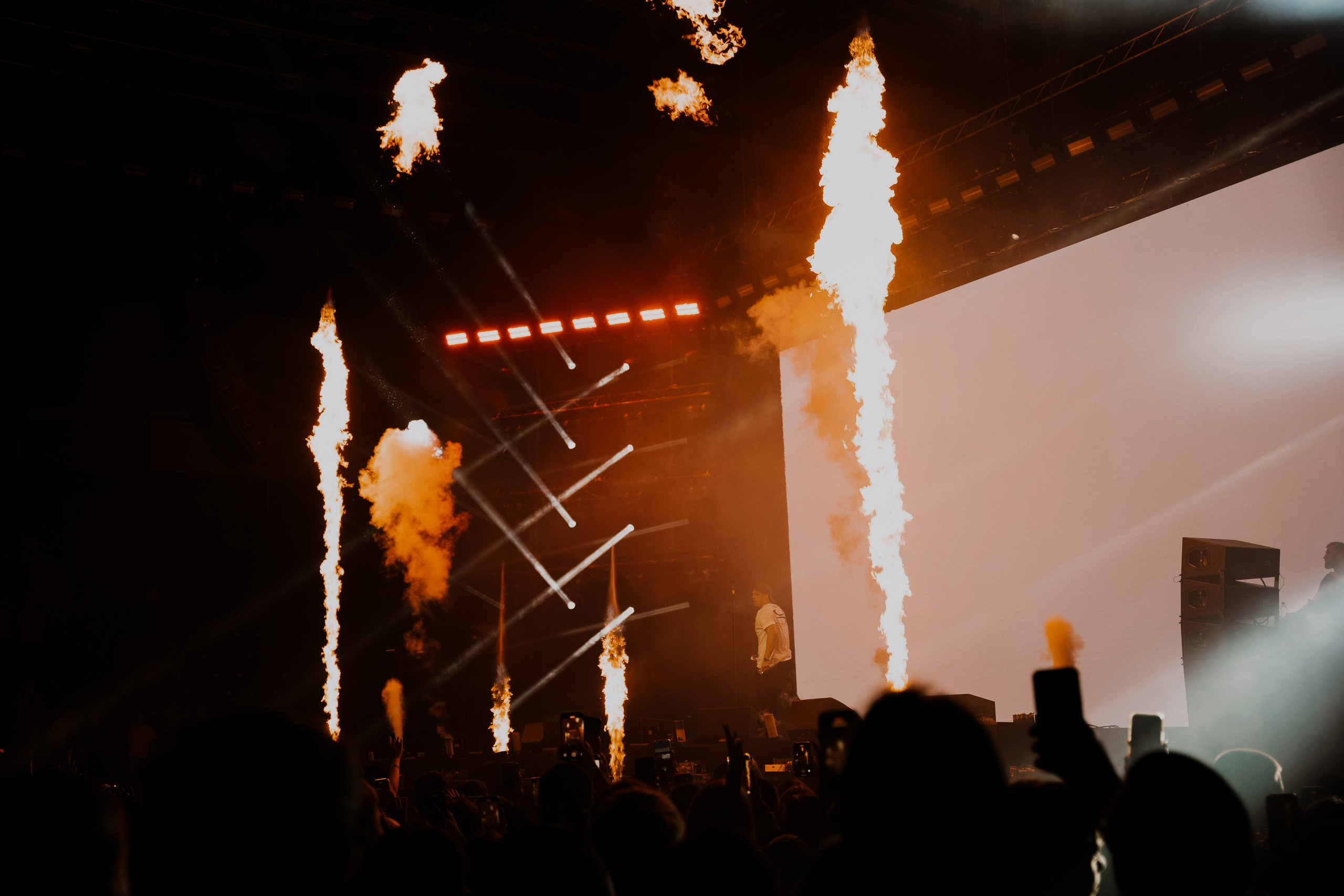 MACAN. Фотограф Москва