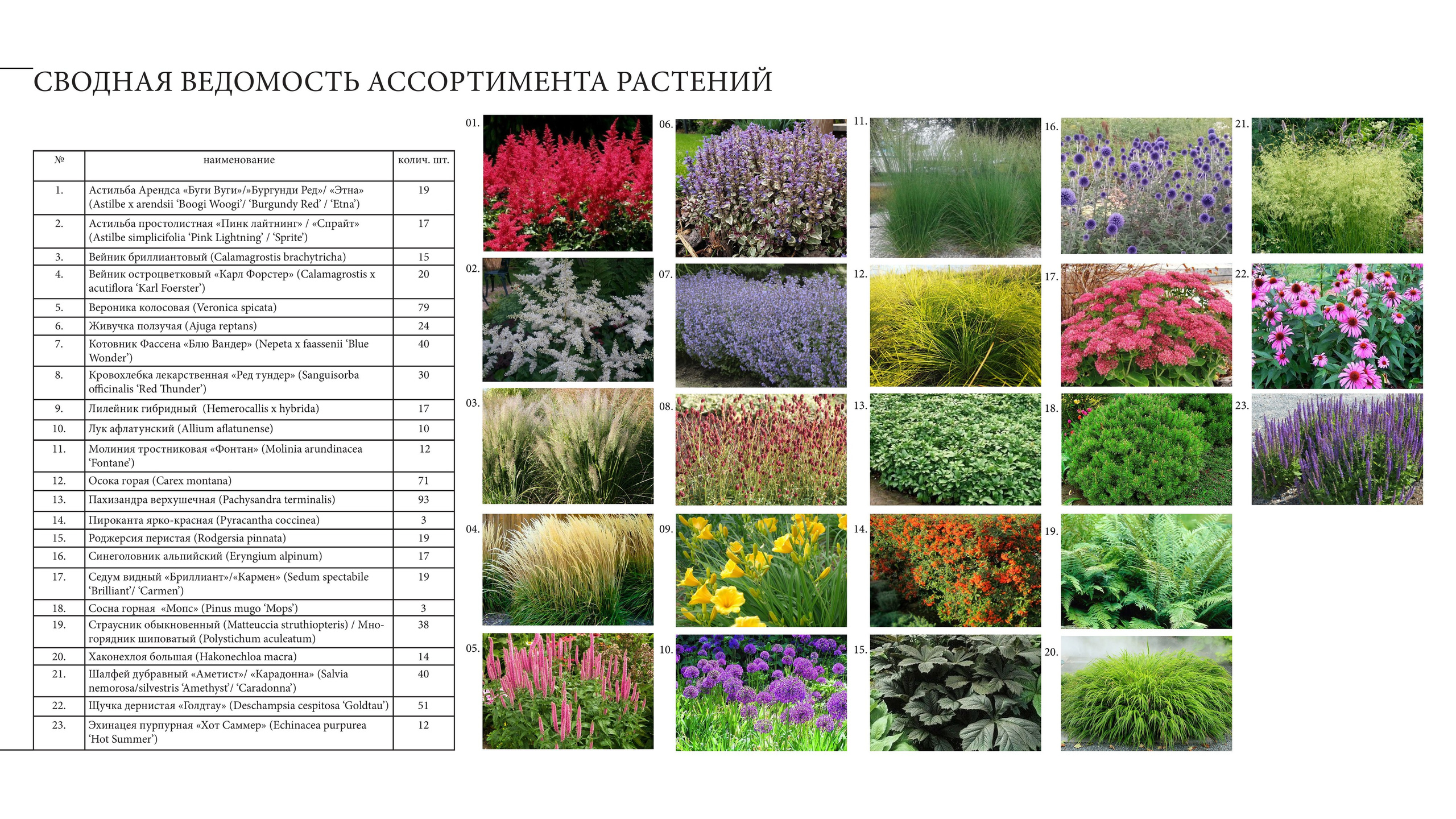 Ландшафтный проект. Ландшафтная архитектура, проектирование и дизайн садов