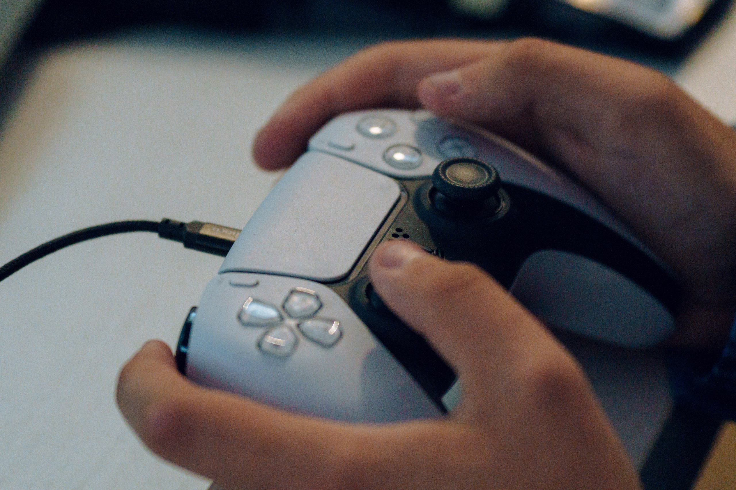 Конфа 2025. Фотограф в Санкт-Петербурге Ибрагимова Алина