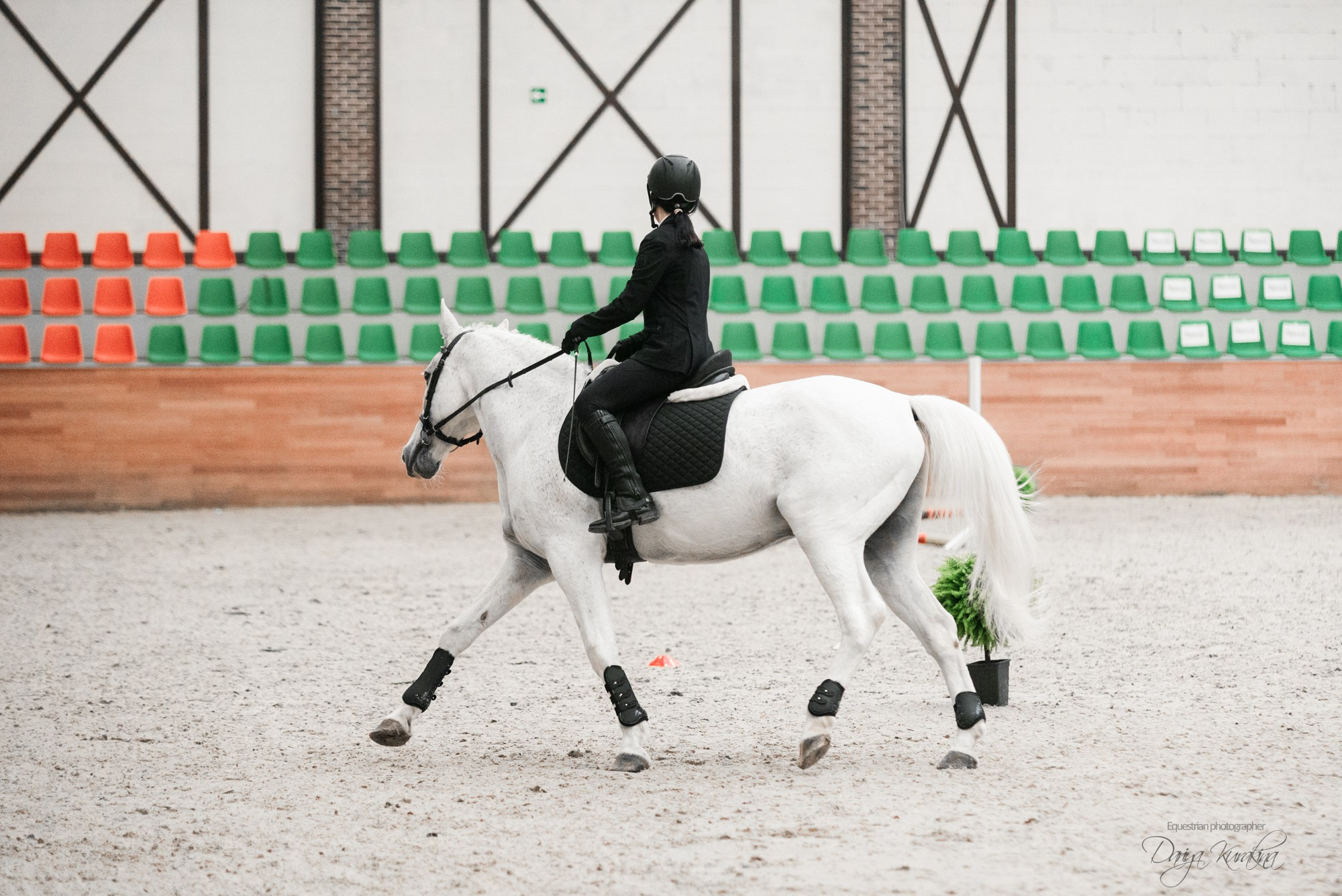 8-я международная выставка Конная Россия. Конный фотограф Куракина Дарья • Фотосессии с лошадьми