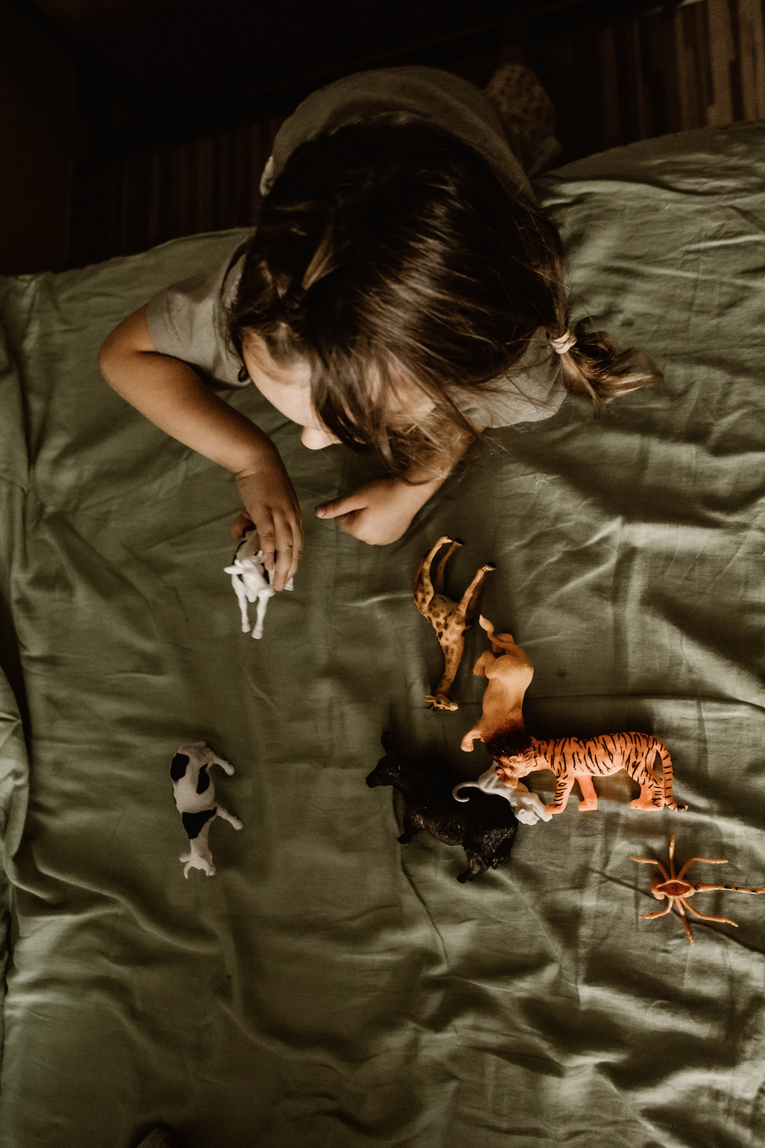 Семейное. Сборы первоклашки. Фотограф в Нижнем Новгороде