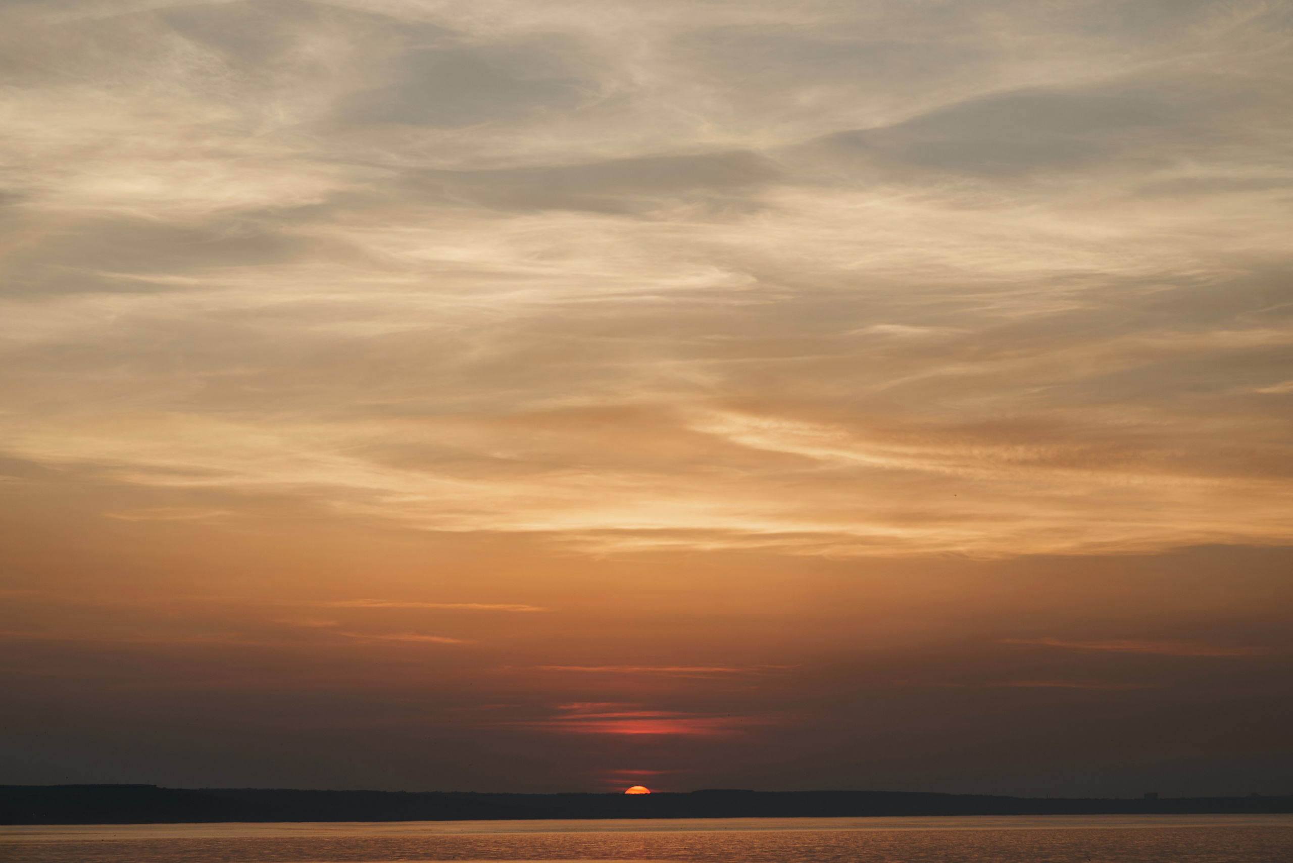 Анастасия & Андрей. Фотограф Михаил Ефремов