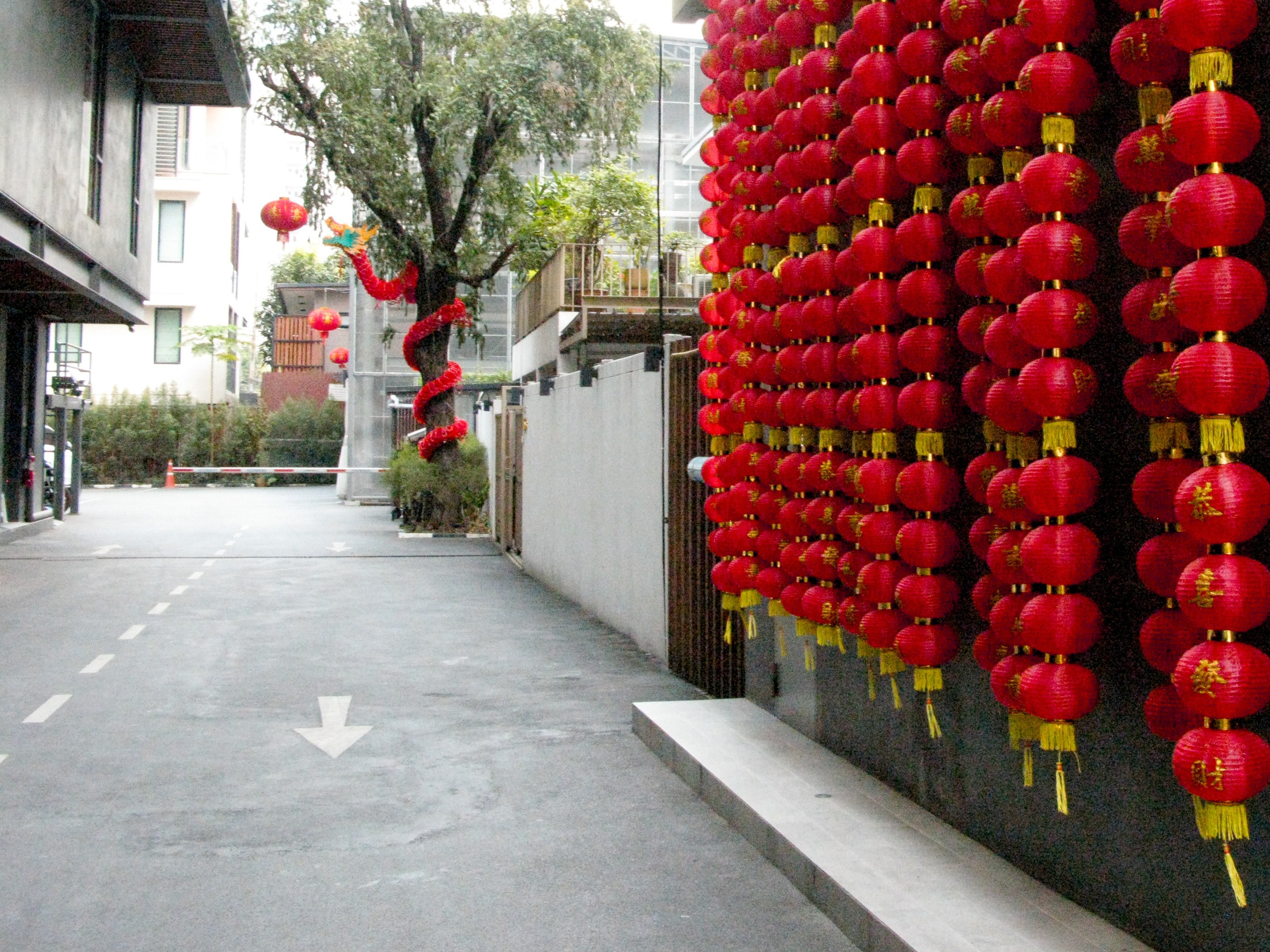 Thai. Фотограф Миланазавр