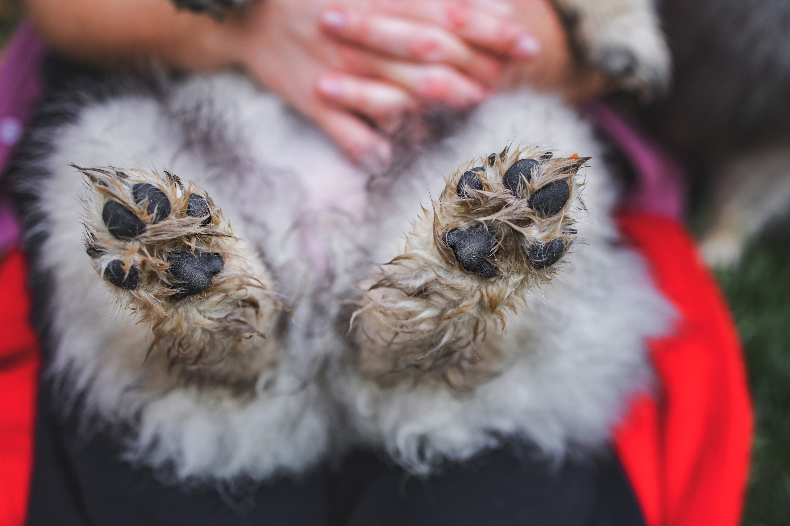 Фотосессии. Фотограф Ирина Астор