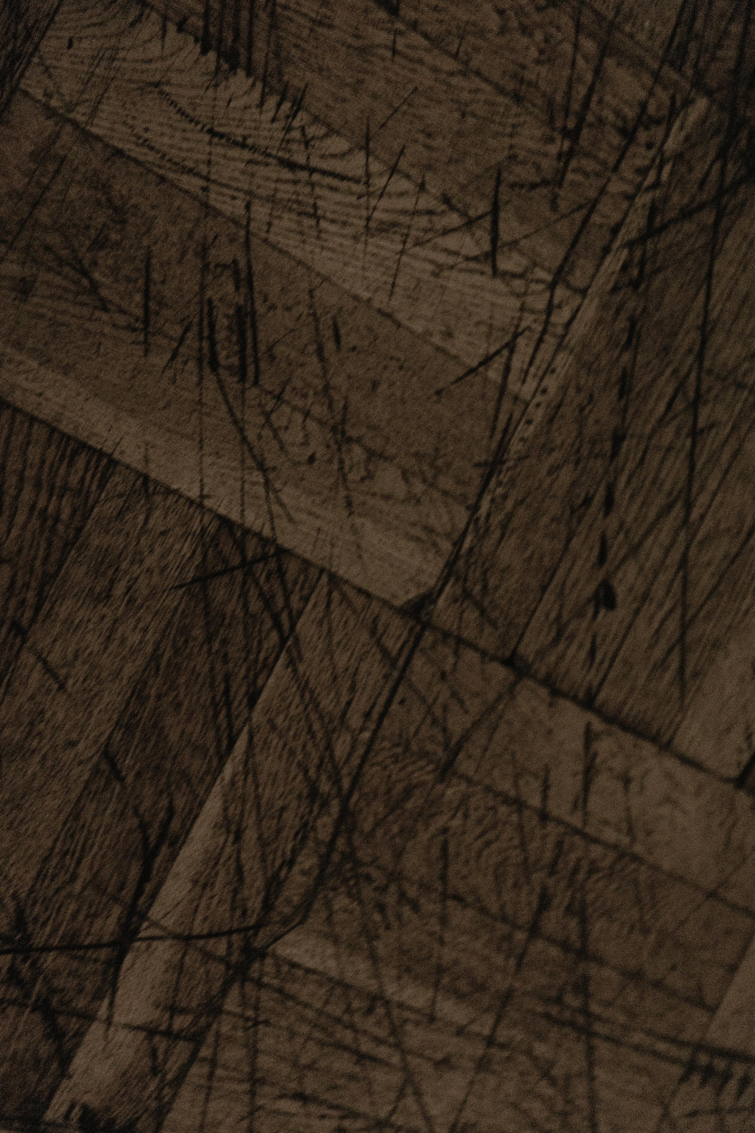 Полина. Творческий фотограф в Москве Наталья Ермолова