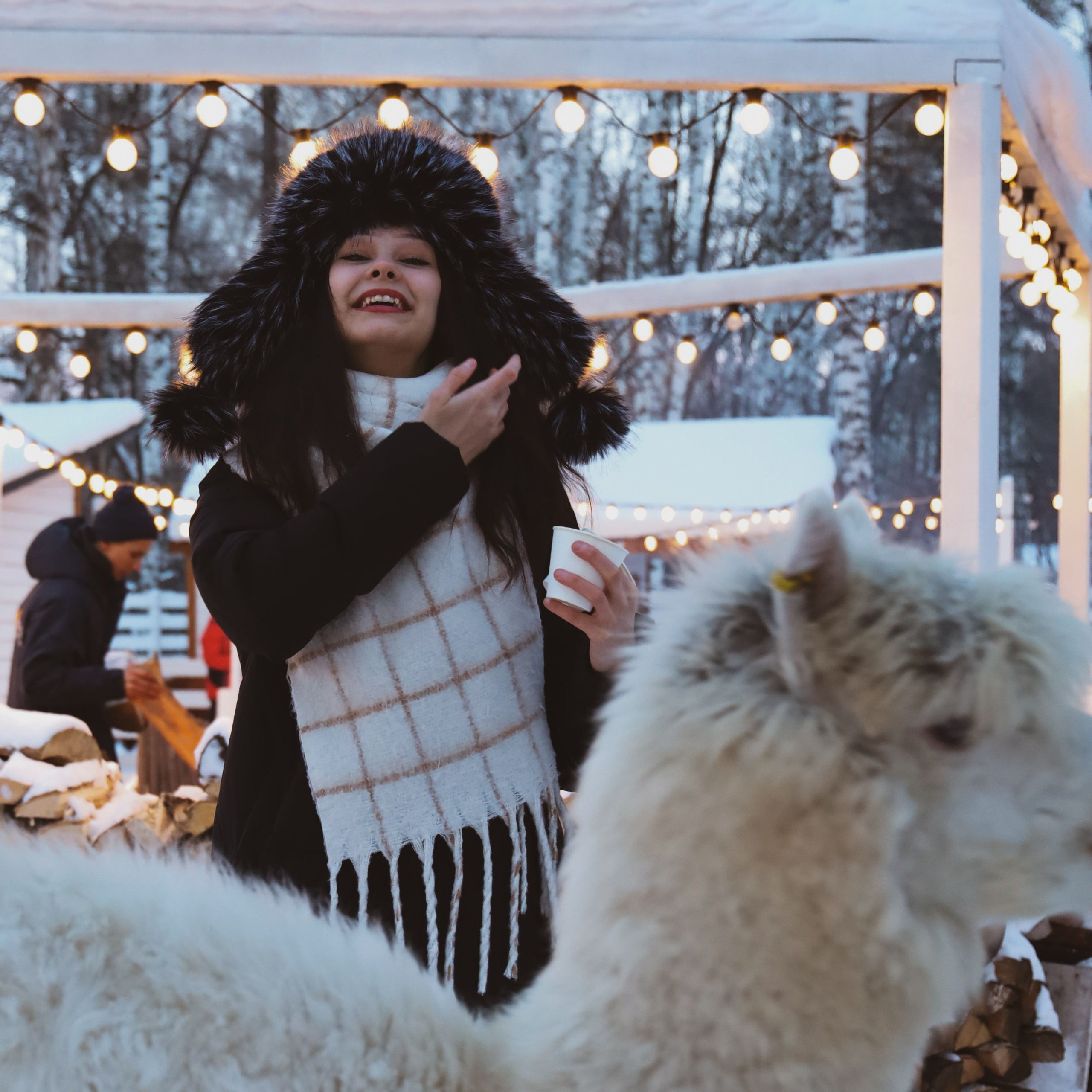 Alpaca park. Фотограф/дизайнер в Екатеринбурге Хитрый Дмитрий