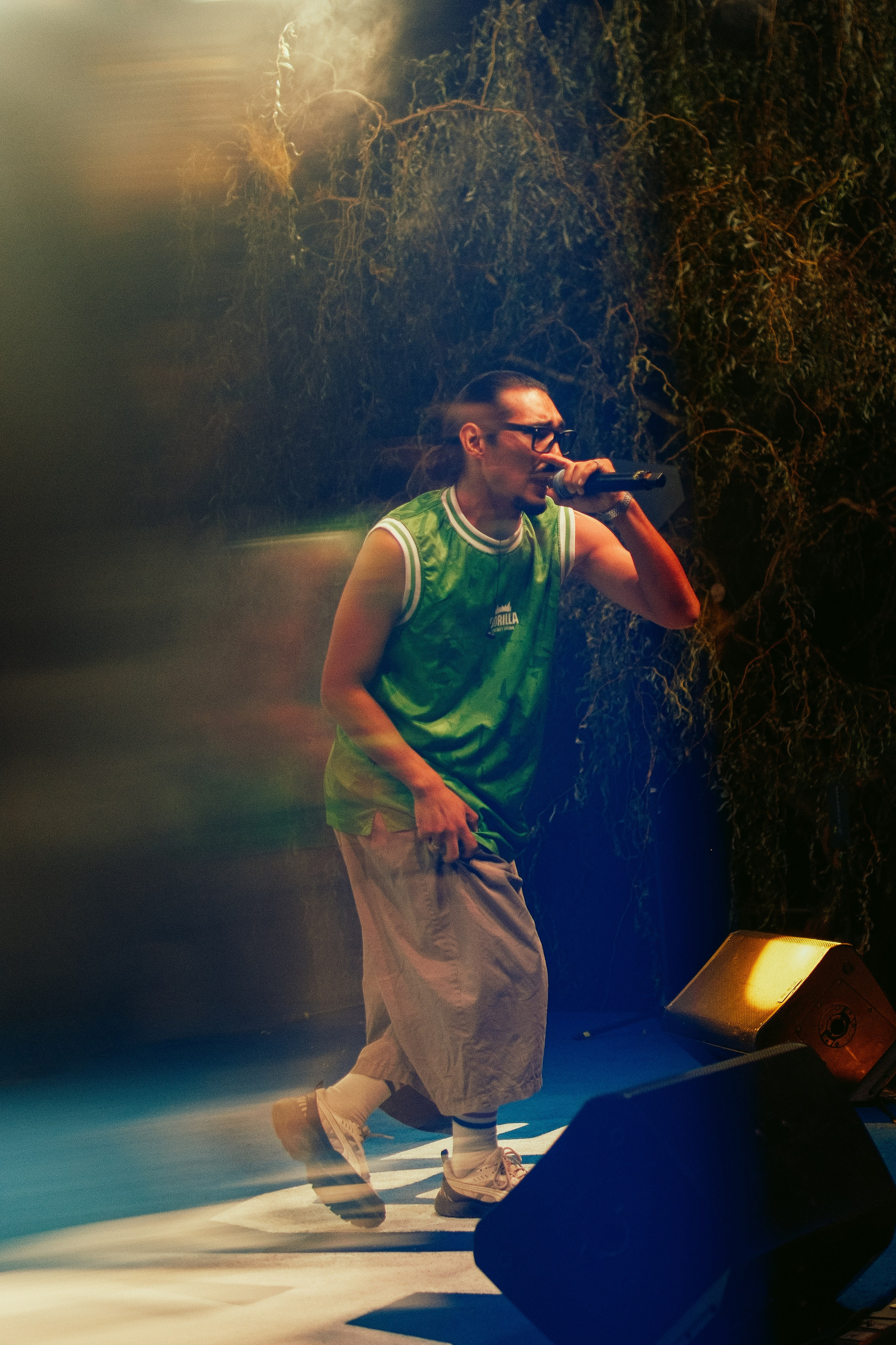 PARK LIVE 2026. Gorillaenergymedia