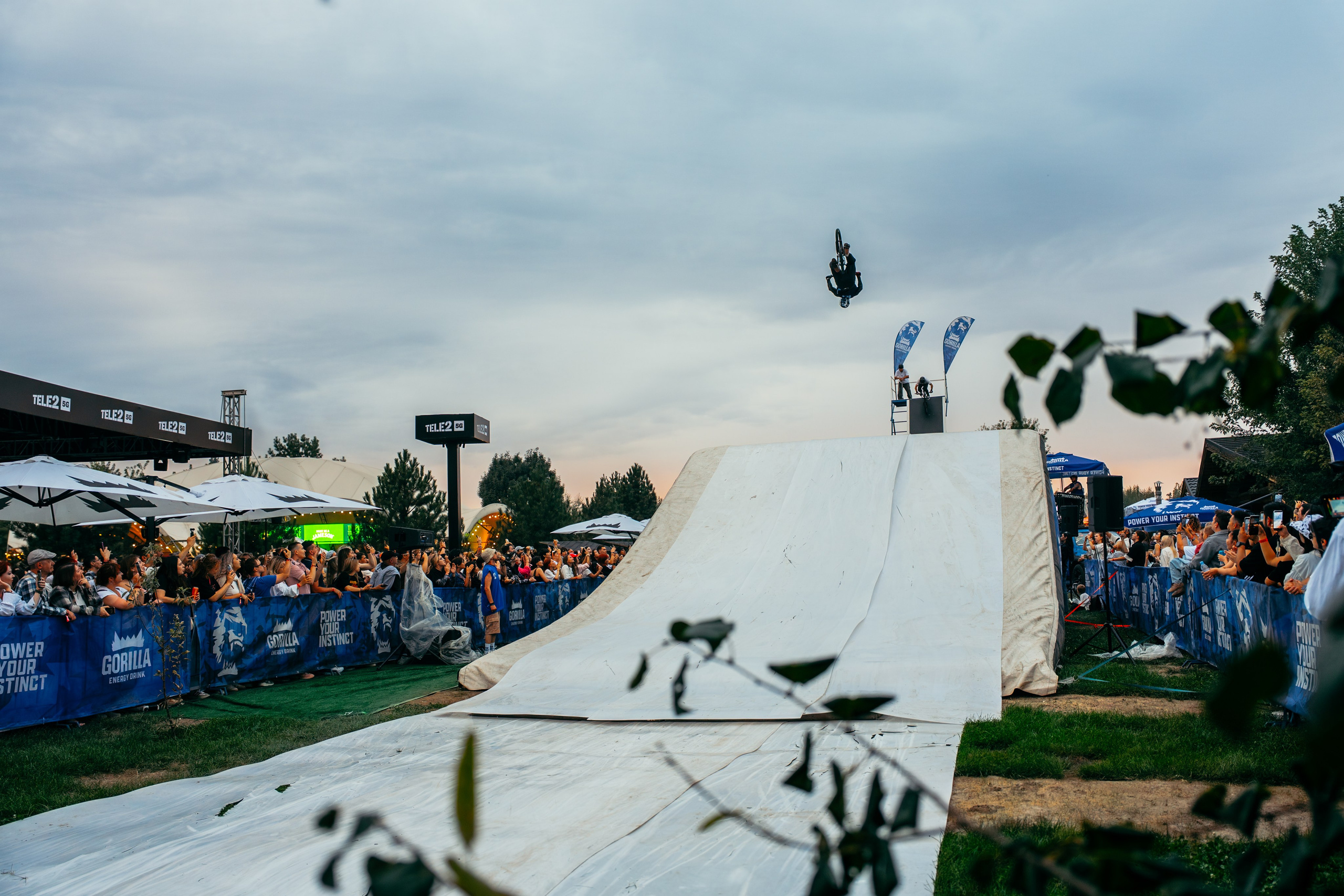 PARK LIVE 2026. Gorillaenergymedia