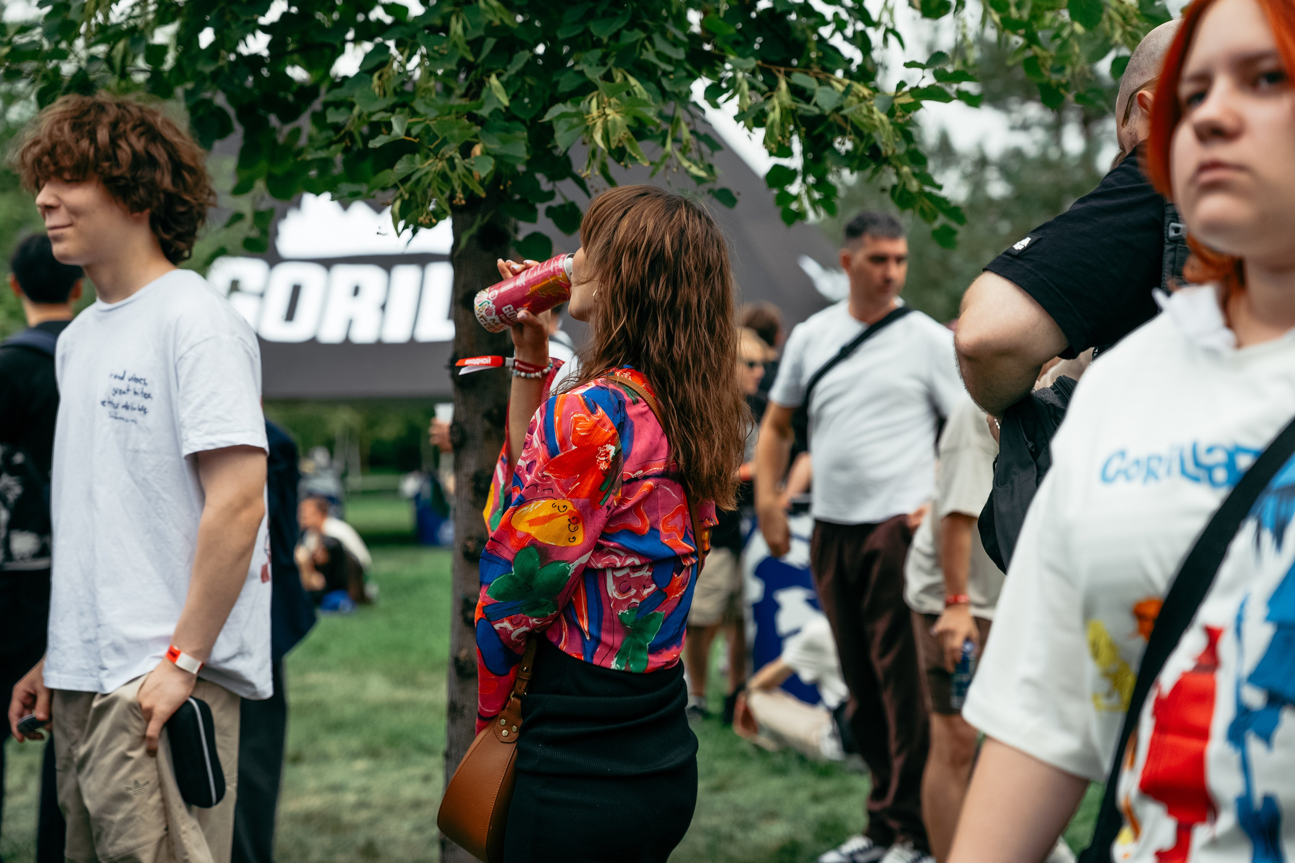 PARK LIVE 2026. Gorillaenergymedia