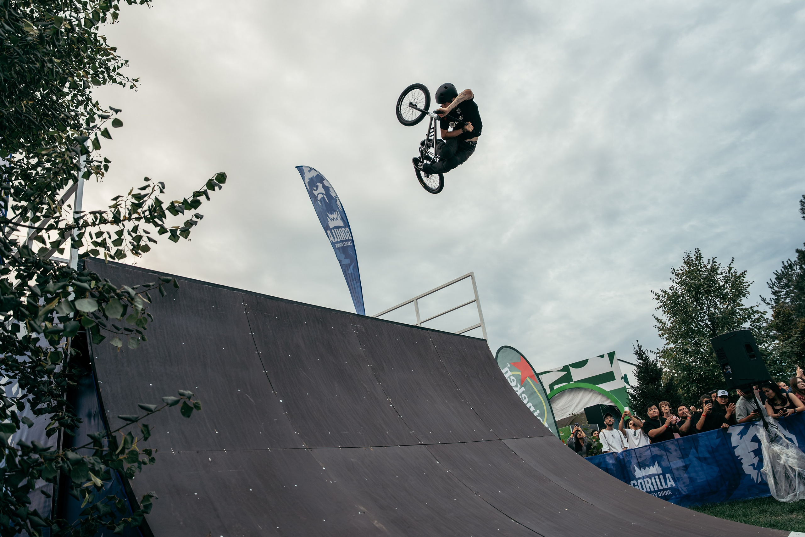 PARK LIVE 2026. Gorillaenergymedia