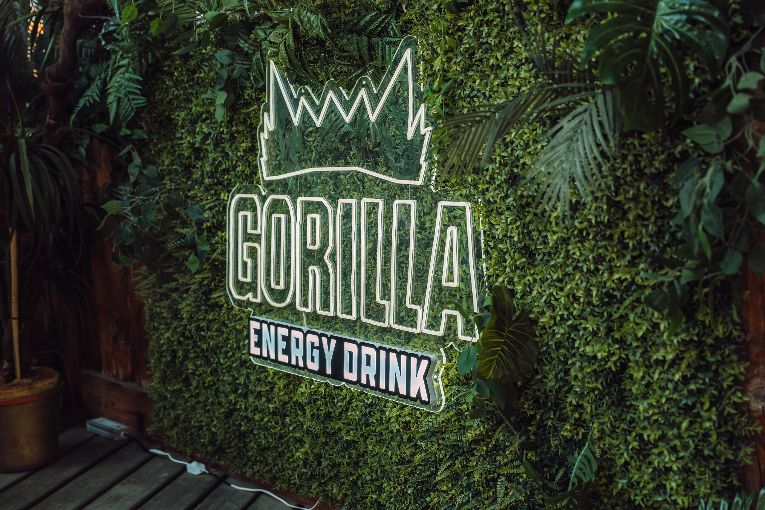 PARK LIVE 2026. Gorillaenergymedia