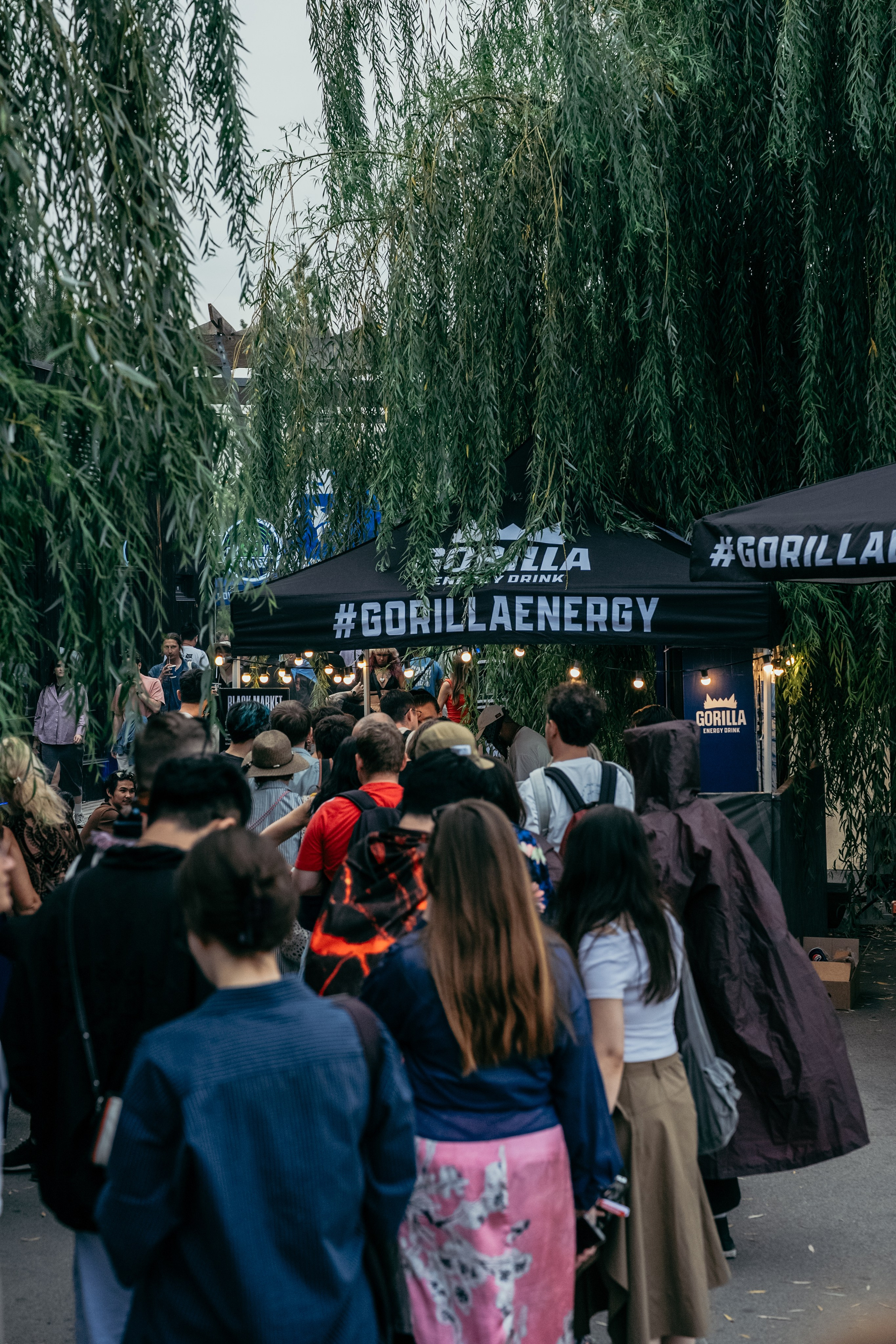 PARK LIVE 2026. Gorillaenergymedia