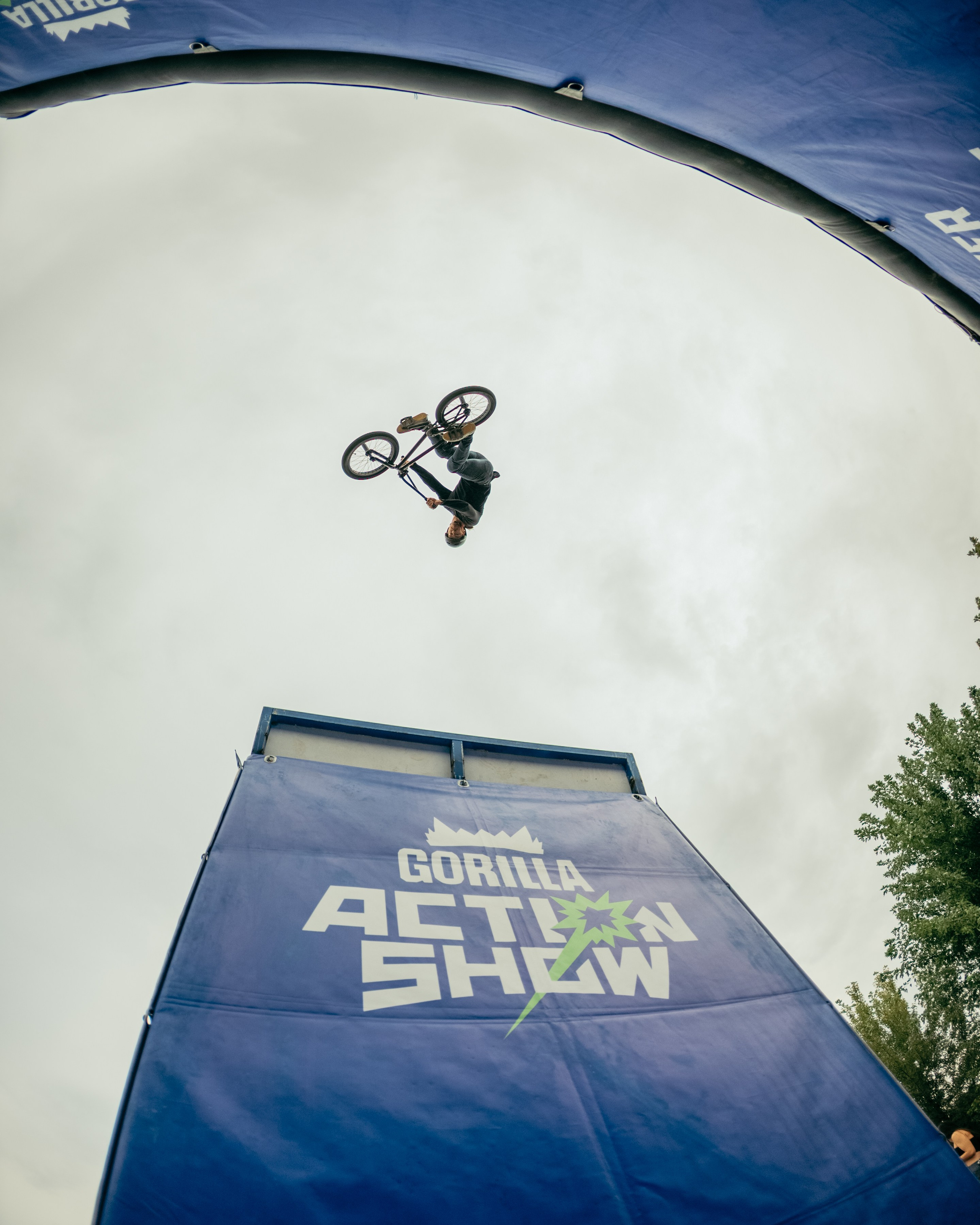 PARK LIVE 2026. Gorillaenergymedia