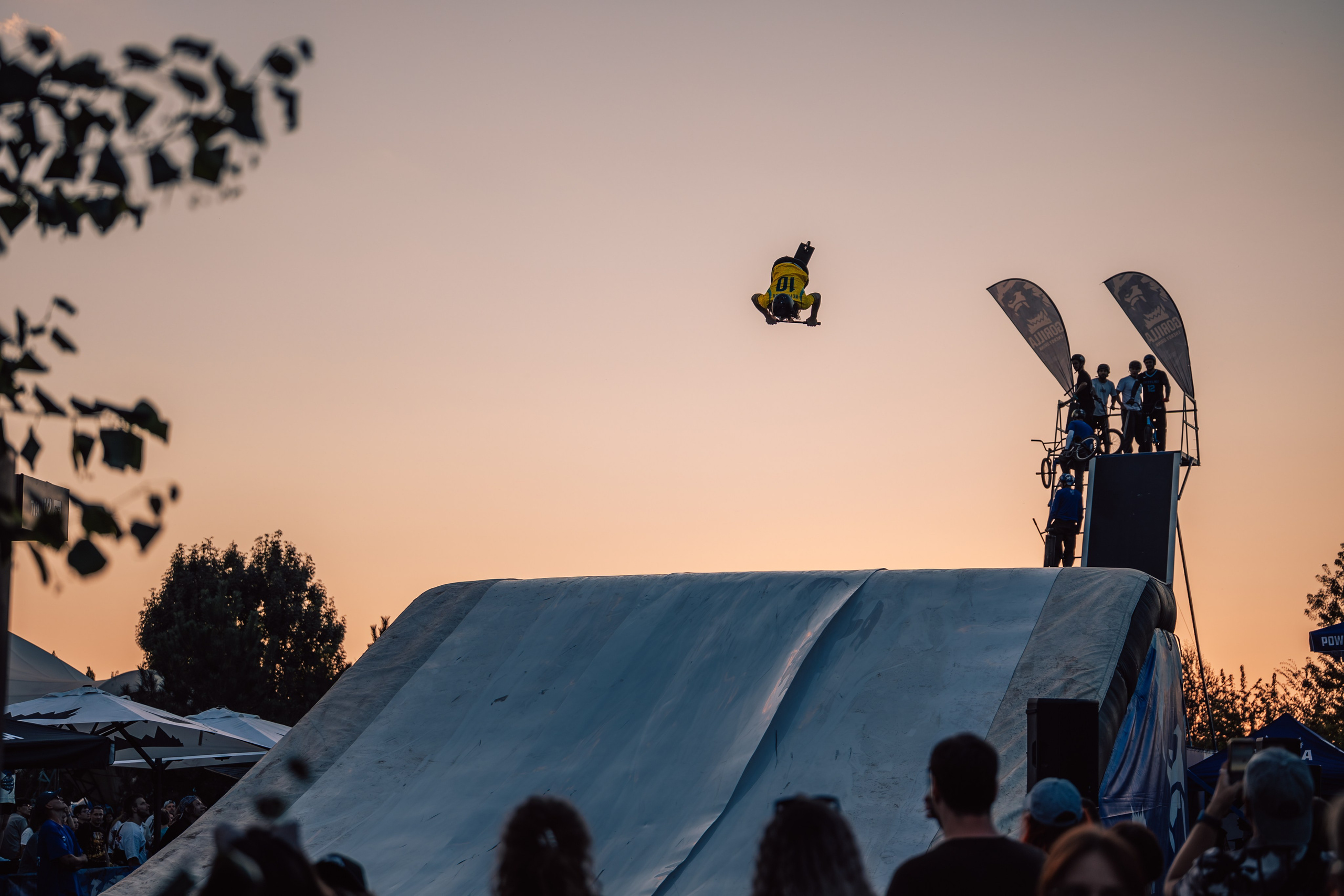 PARK LIVE 2026. Gorillaenergymedia