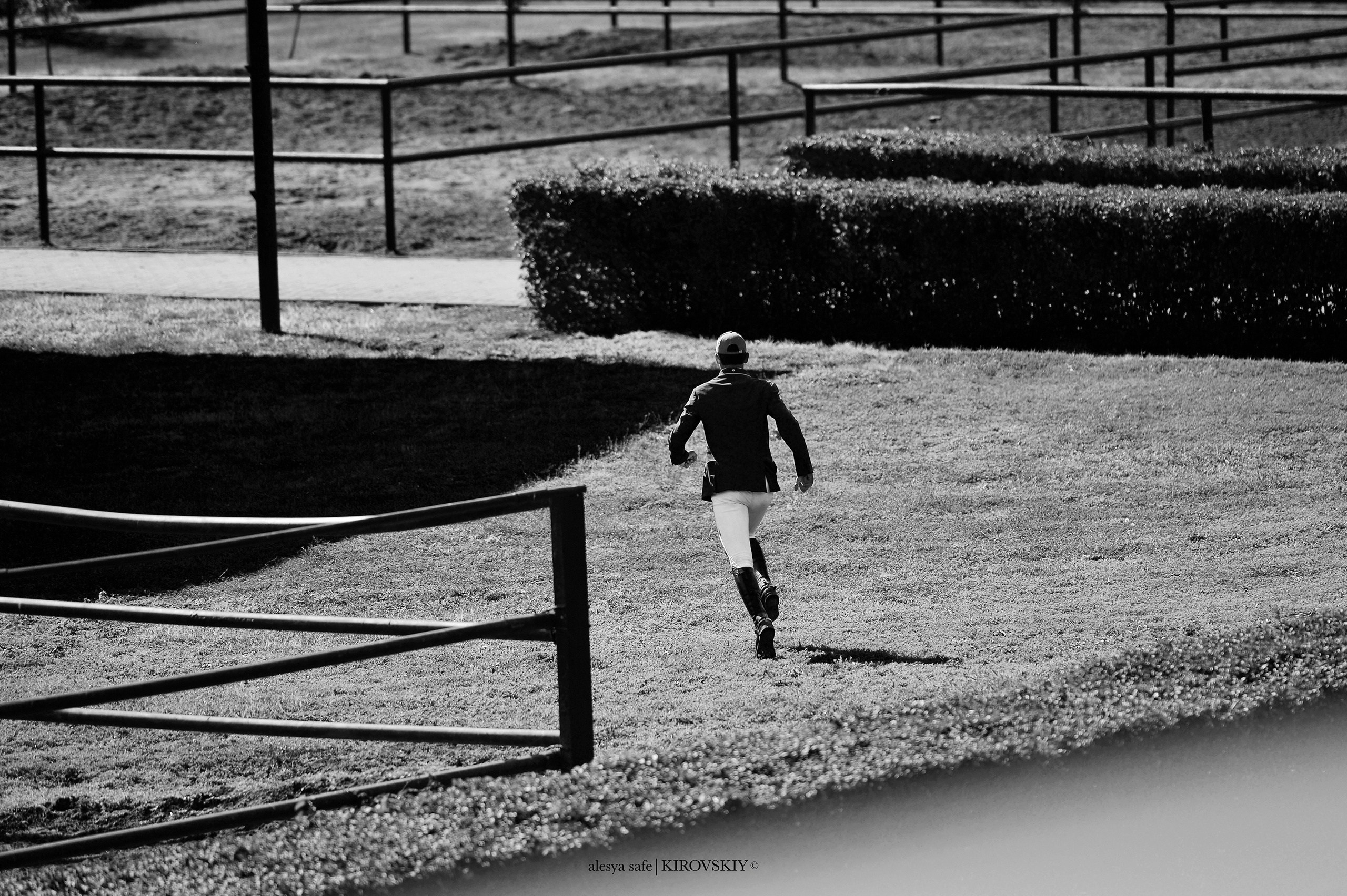 Кировский конный завод. Конный фотограф Alesya Safe