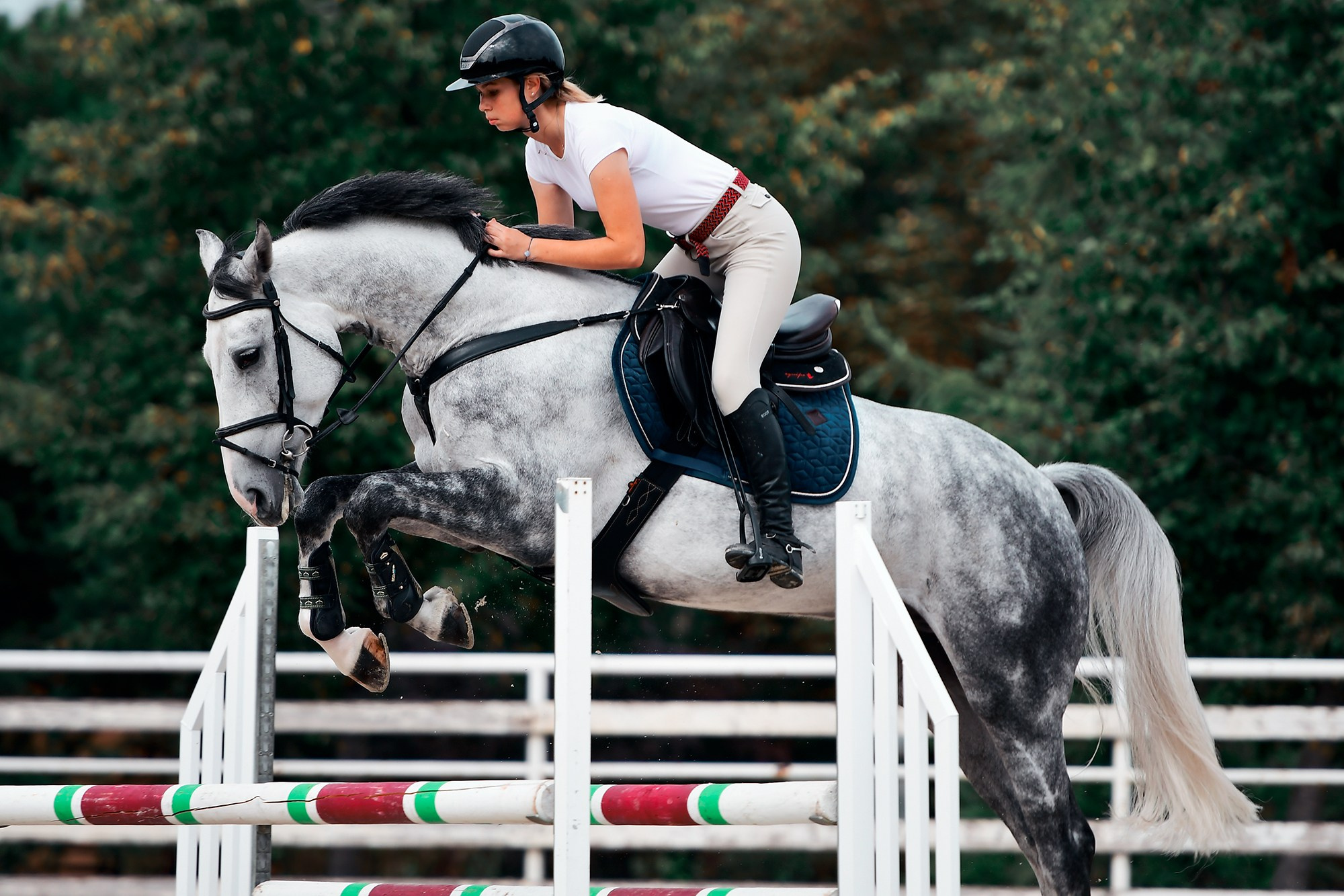 Тренировки. Конный фотограф Alesya Safe