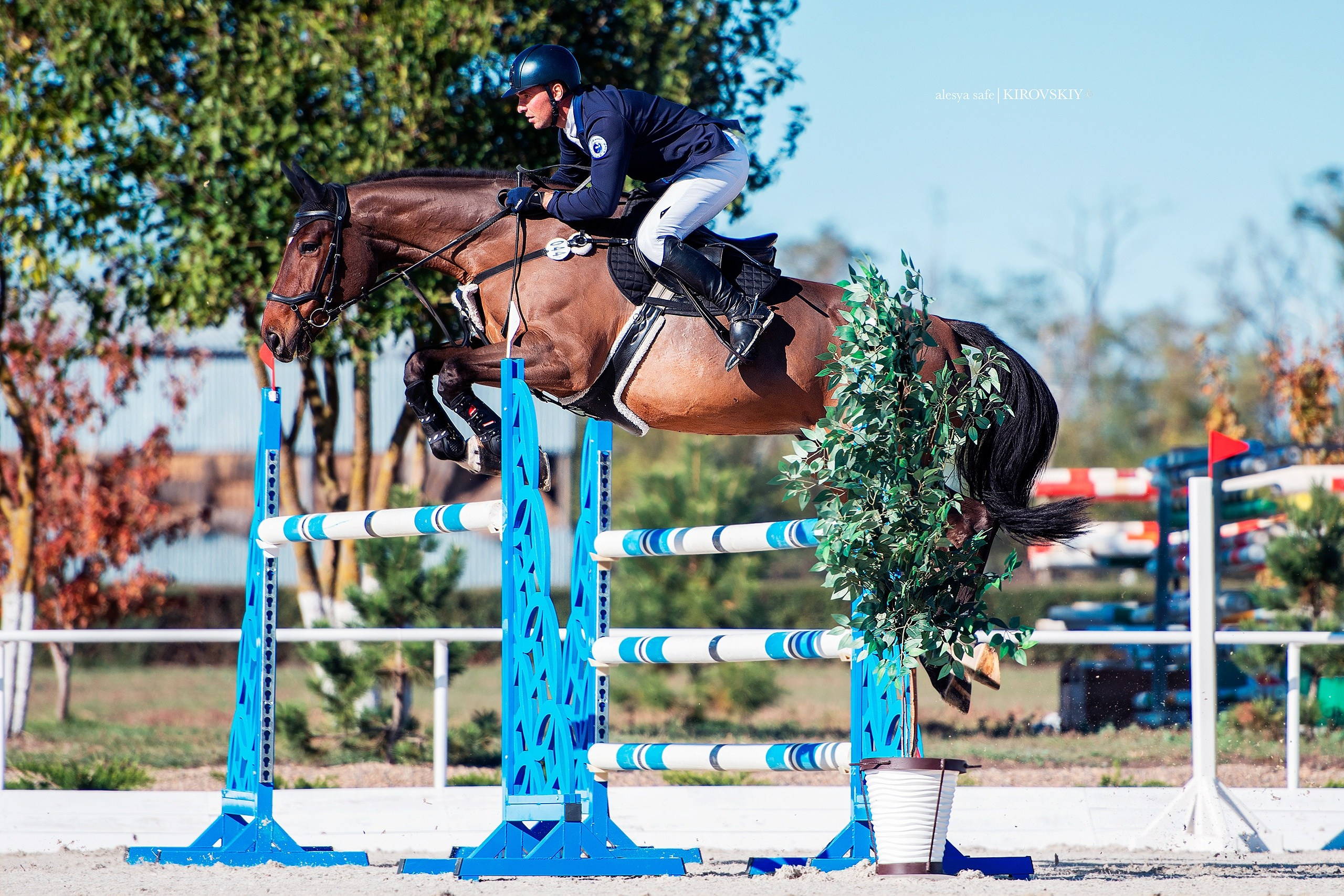 Кировский конный завод. Конный фотограф Alesya Safe