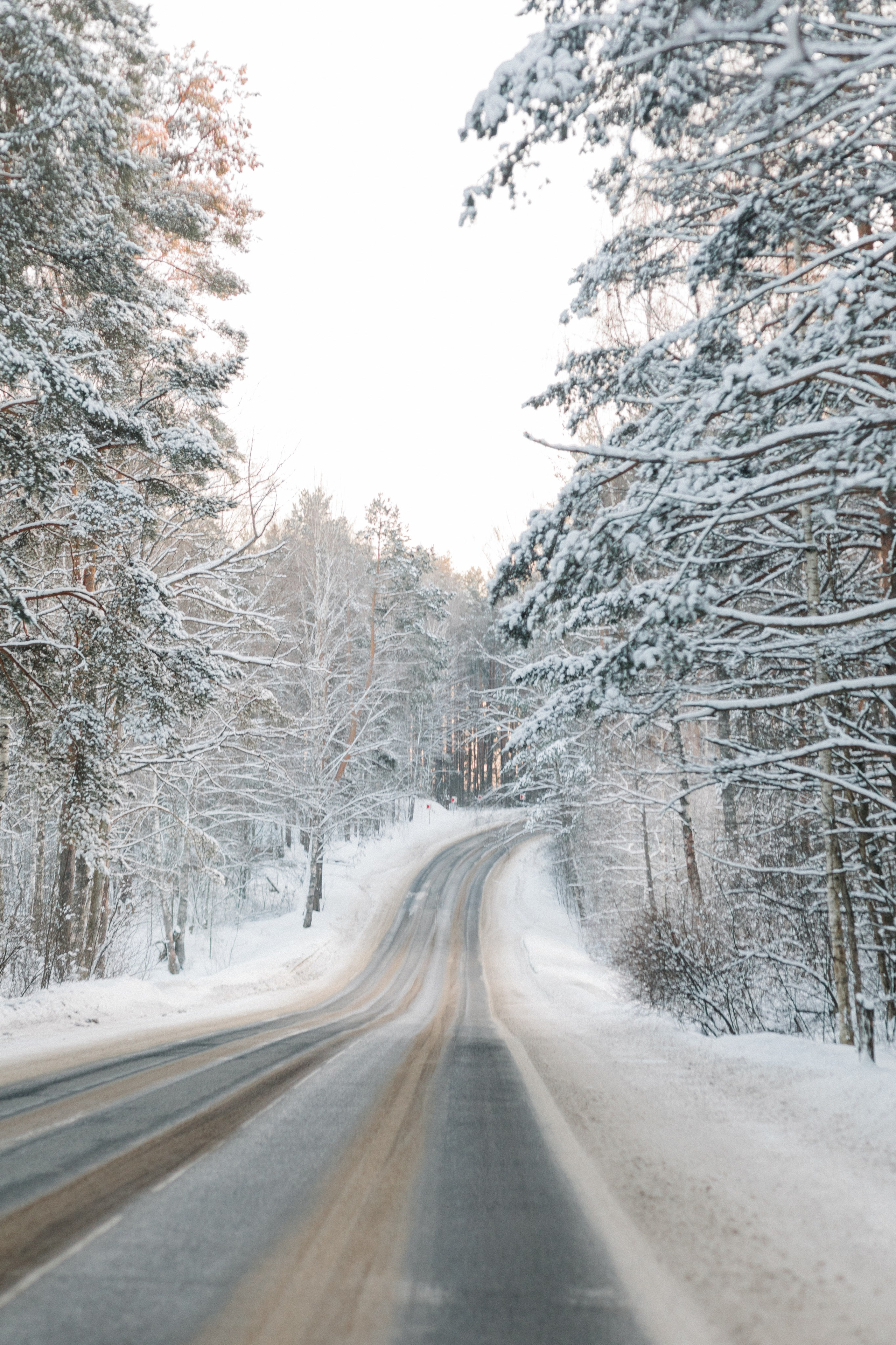 Life. Лена Крутова. Фотограф в Москве