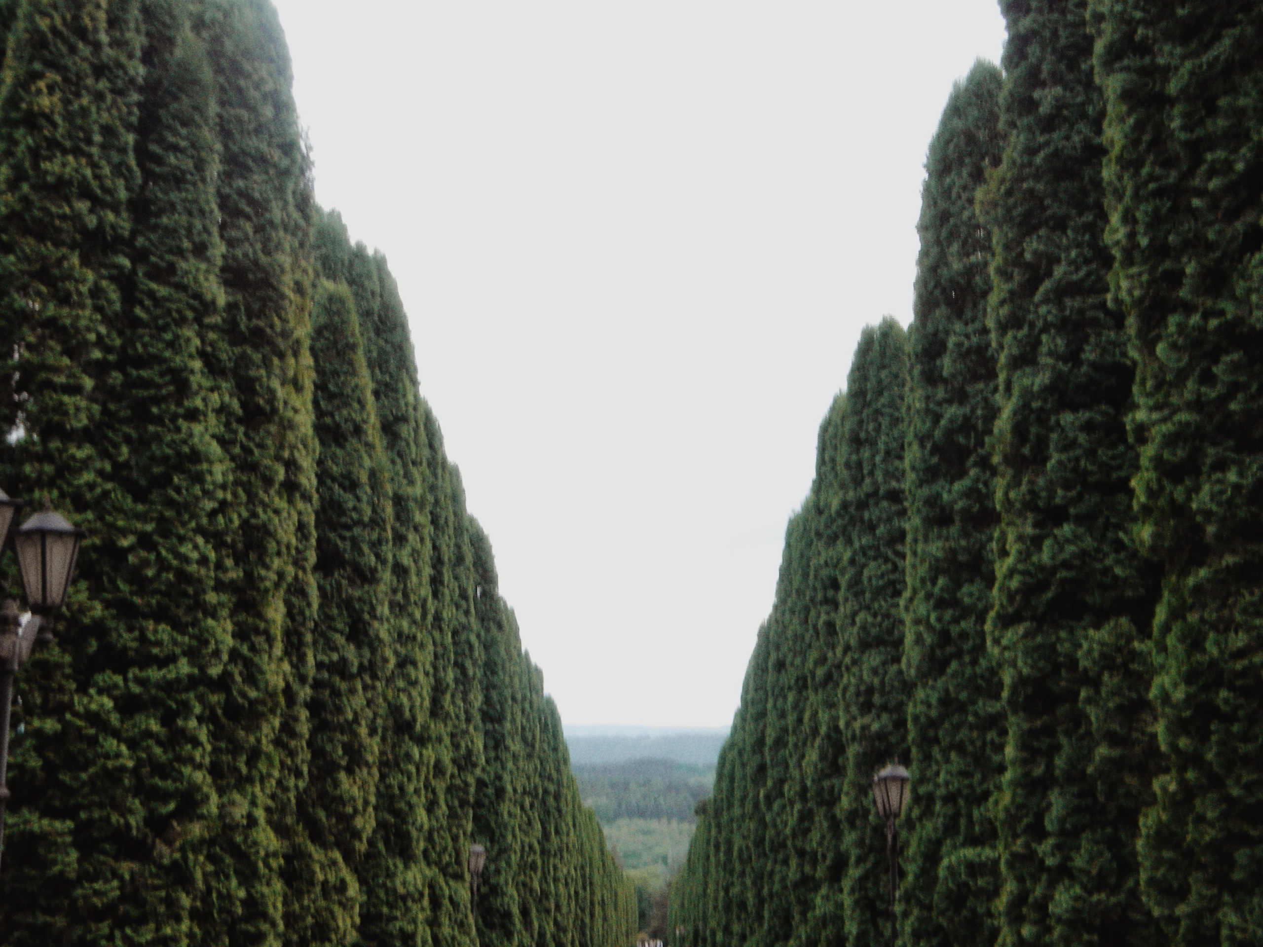 Пейзажи. By Анастасия Сигута