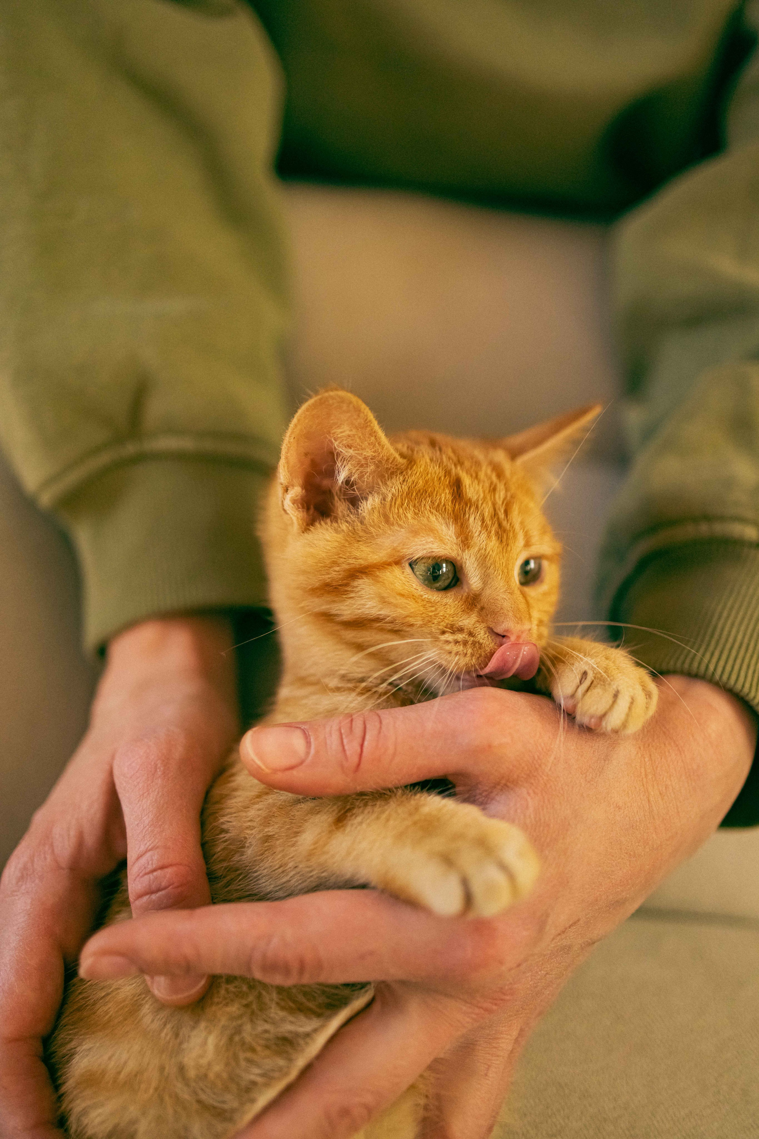 Кускус. Фотограф-анималист в Москве Лера Черноног