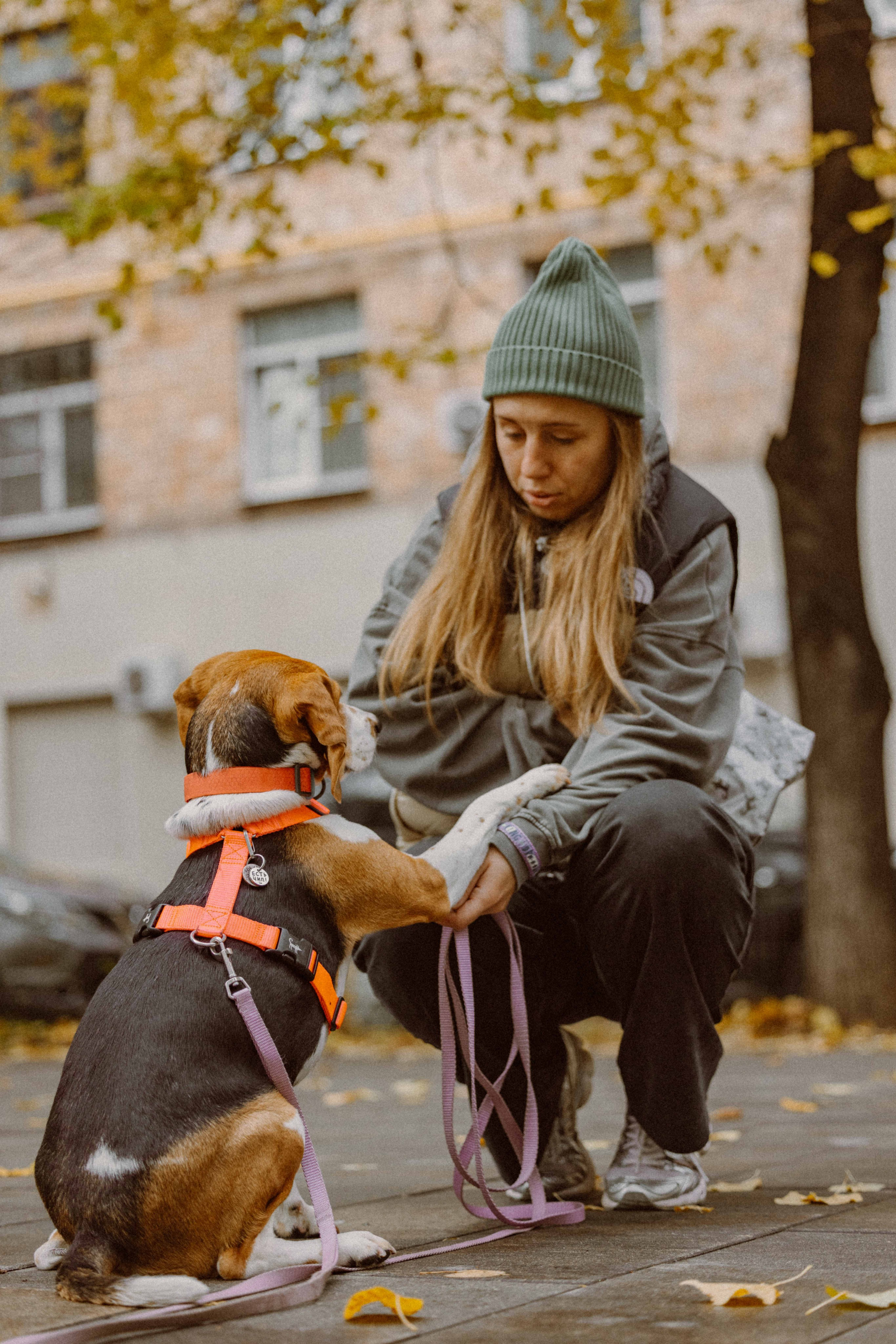 Света и Ива. Фотограф-анималист в Москве Лера Черноног