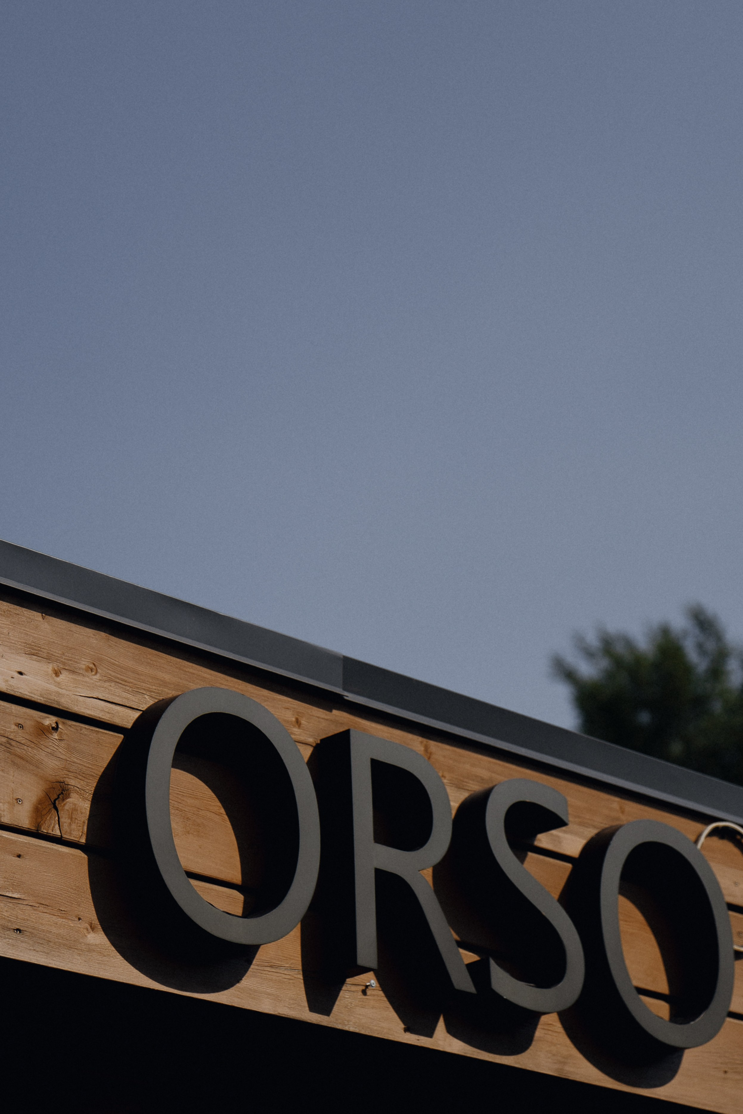 ORSO. Фотограф Новосибирск