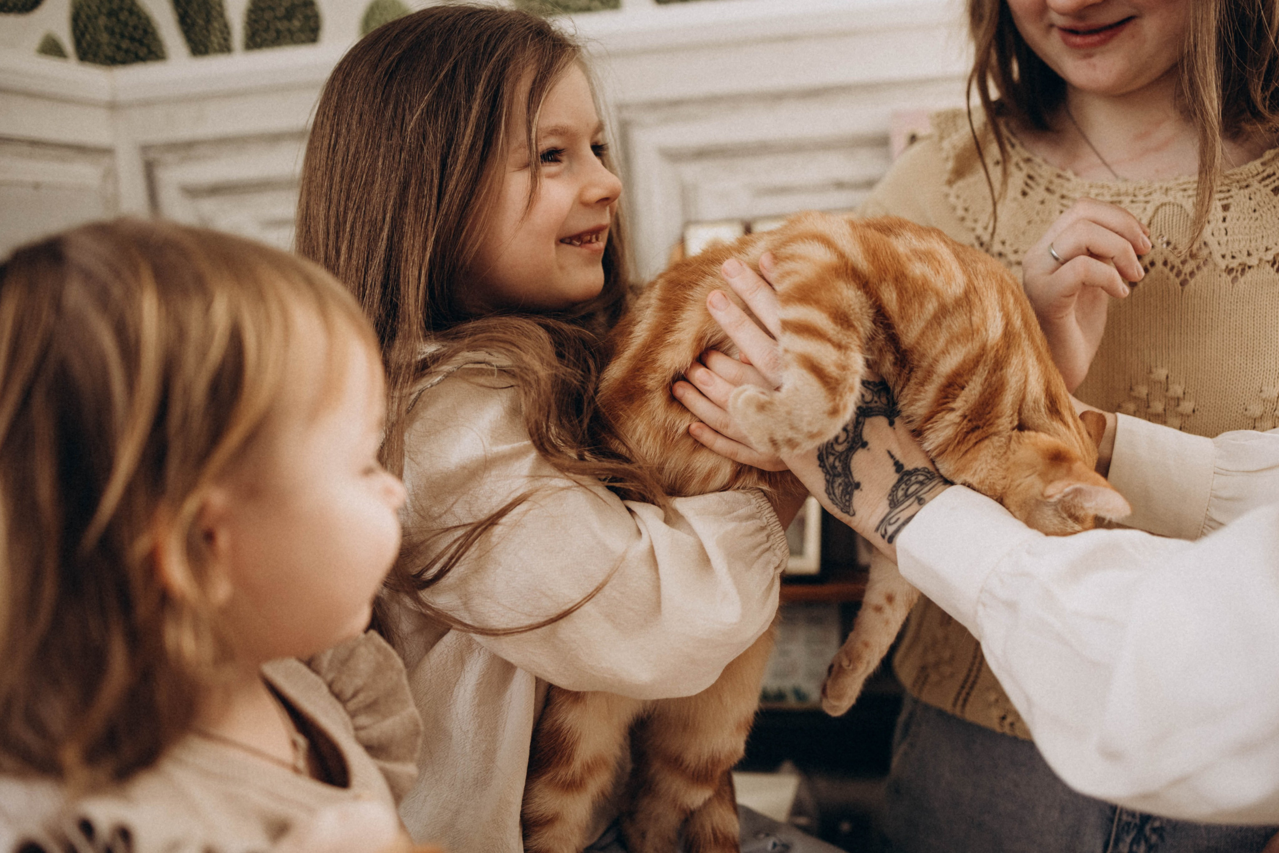 Домашняя семейная история. Главная