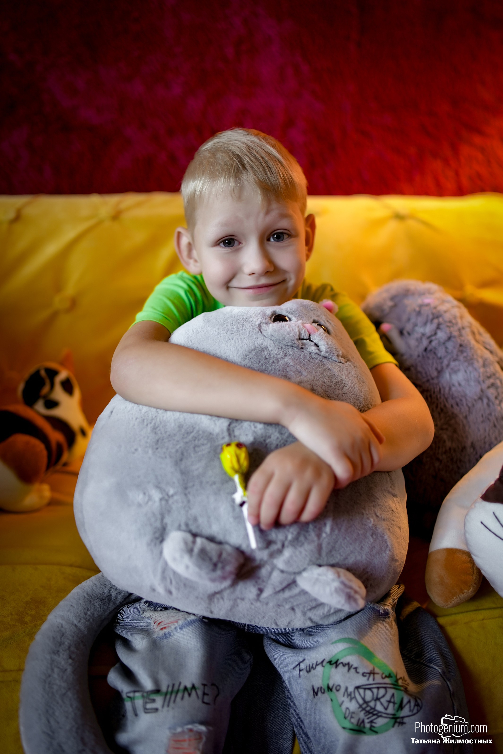 Студийная съемка Котики. Фотограф Нижний Новгород Татьяна Кэйод