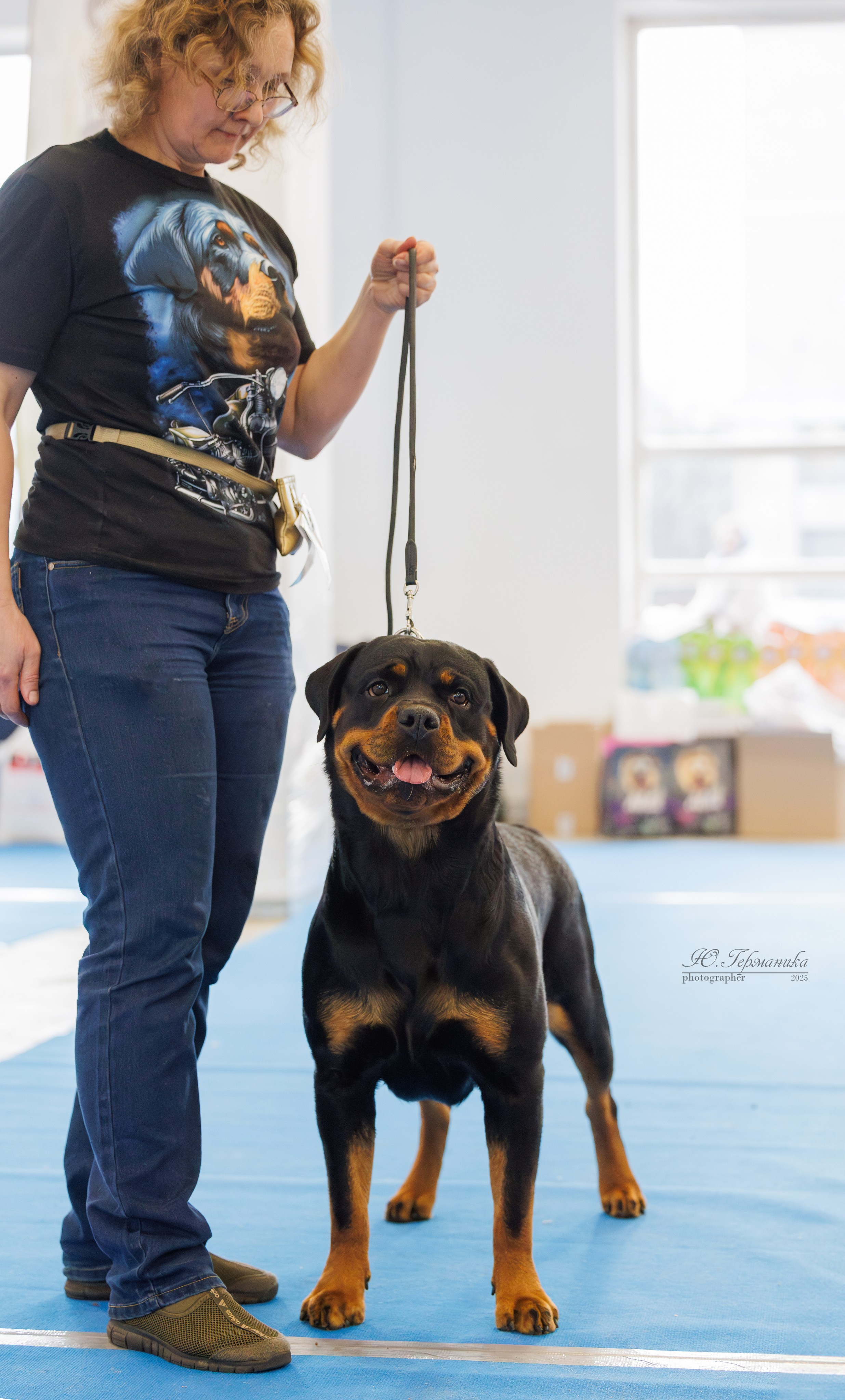 Питер ротвейлеры 18.01,Крокус 19.01.2025. Фотограф-анималист Юлия Германика