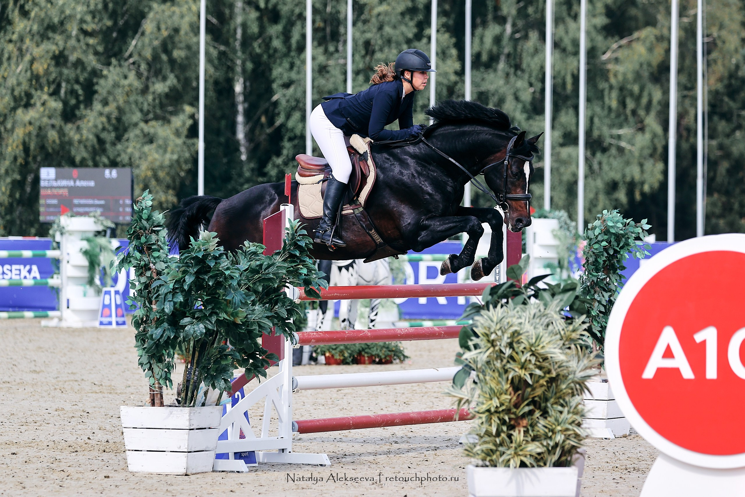 ЧР по конкуру среди молодых лошадей, КСК Horseka | 08'2023. Репортажный фотограф и ретушер в Москве Наталья Алексеева
