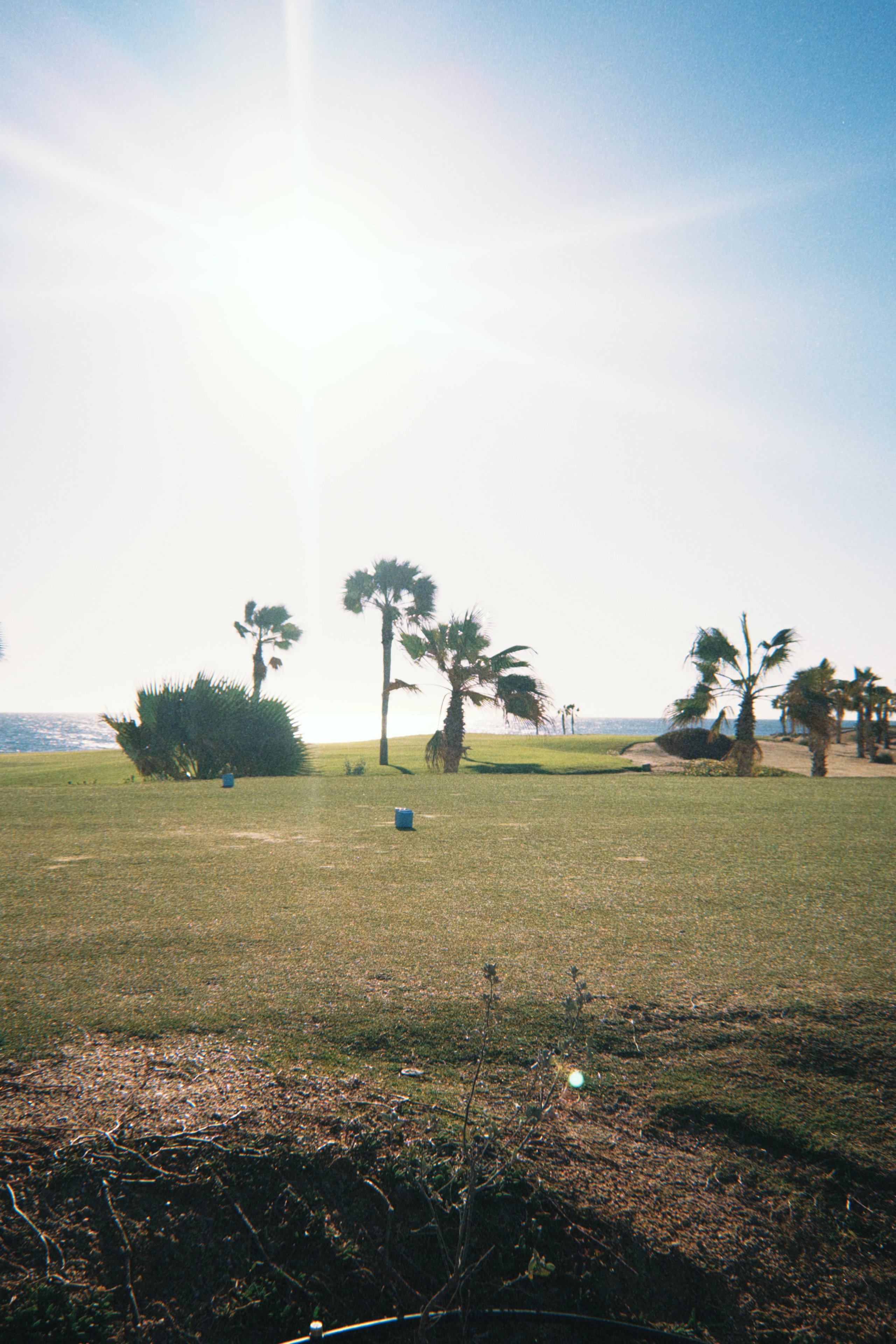 Данил колбасенко. Портфолио