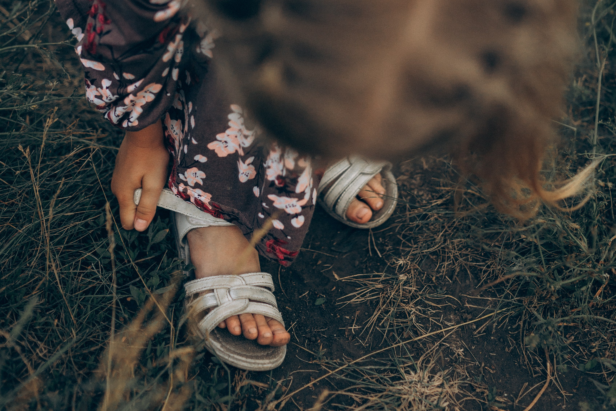 Летняя история. Семейный фотограф lifestyle в Новосибирске Елена Шпилевая