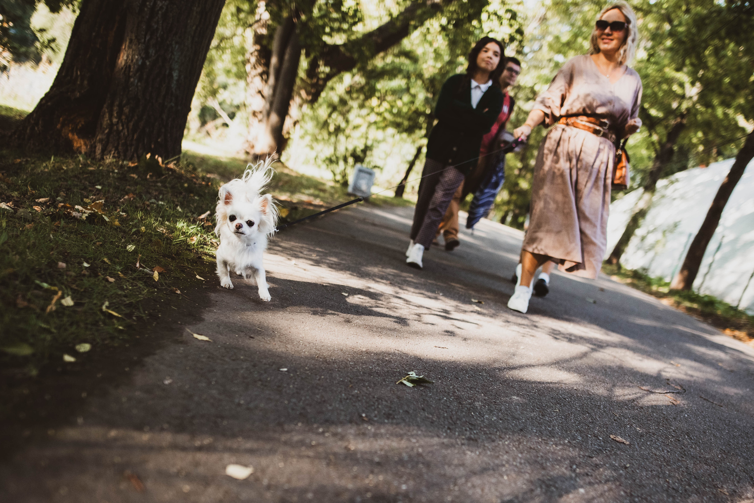 Прогулка по Елагину острову. Семейный и детский фотограф в Санкт-Петербурге Татьяна Дмитренко