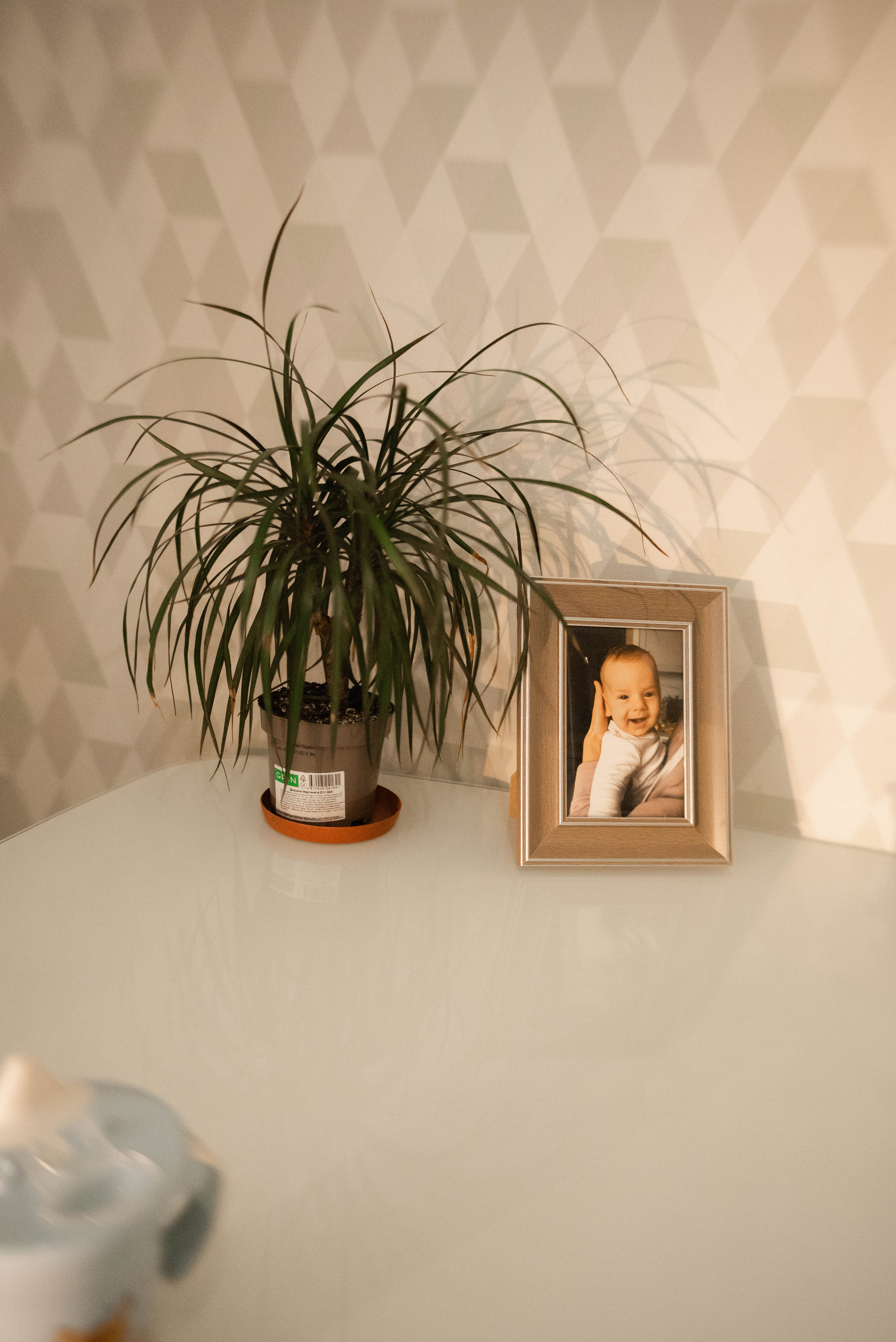 Когда утреннее солнце — это ты. Семейный и детский фотограф в Санкт-Петербурге Татьяна Дмитренко