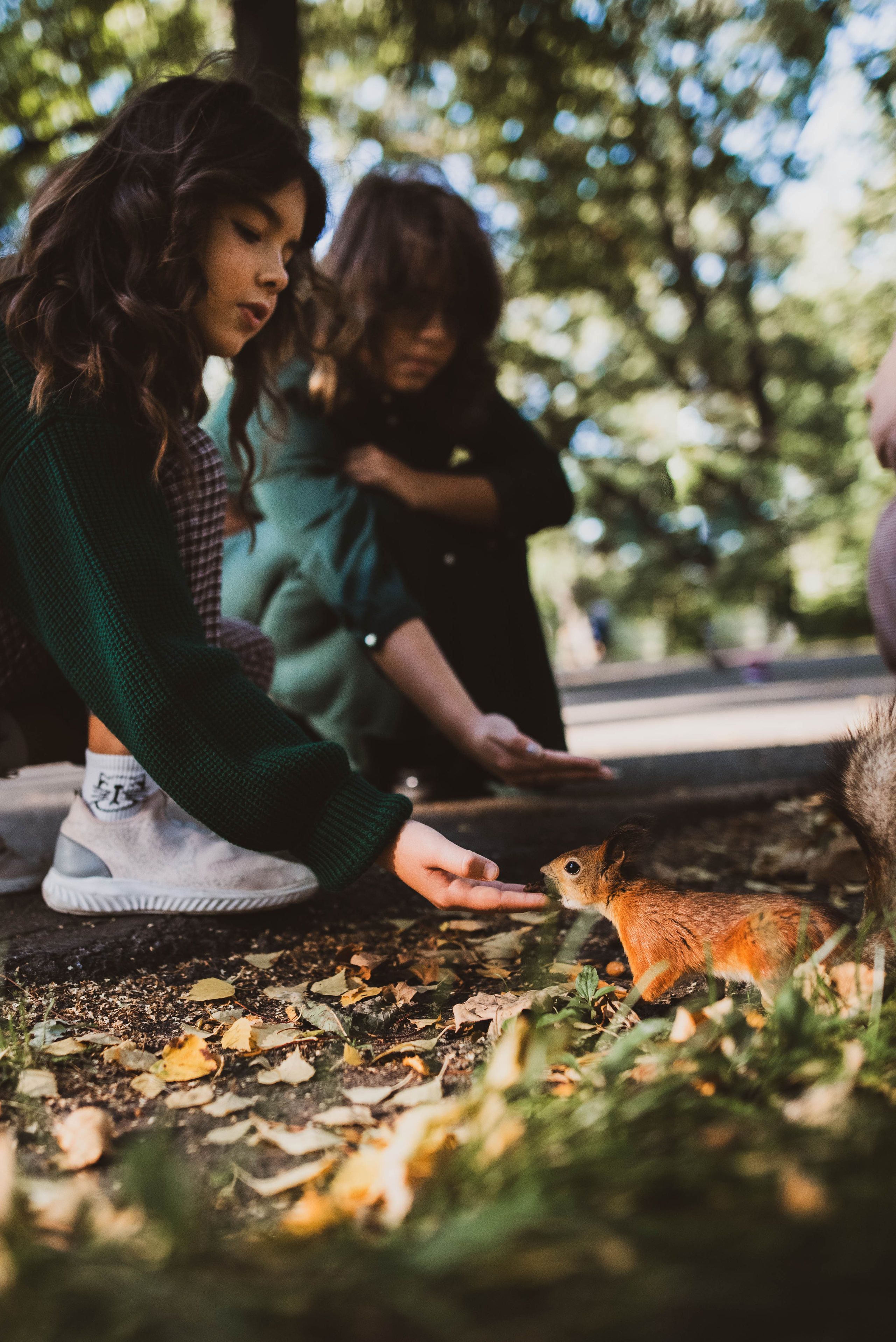 Прогулка по Елагину острову. Семейный и детский фотограф в Санкт-Петербурге Татьяна Дмитренко