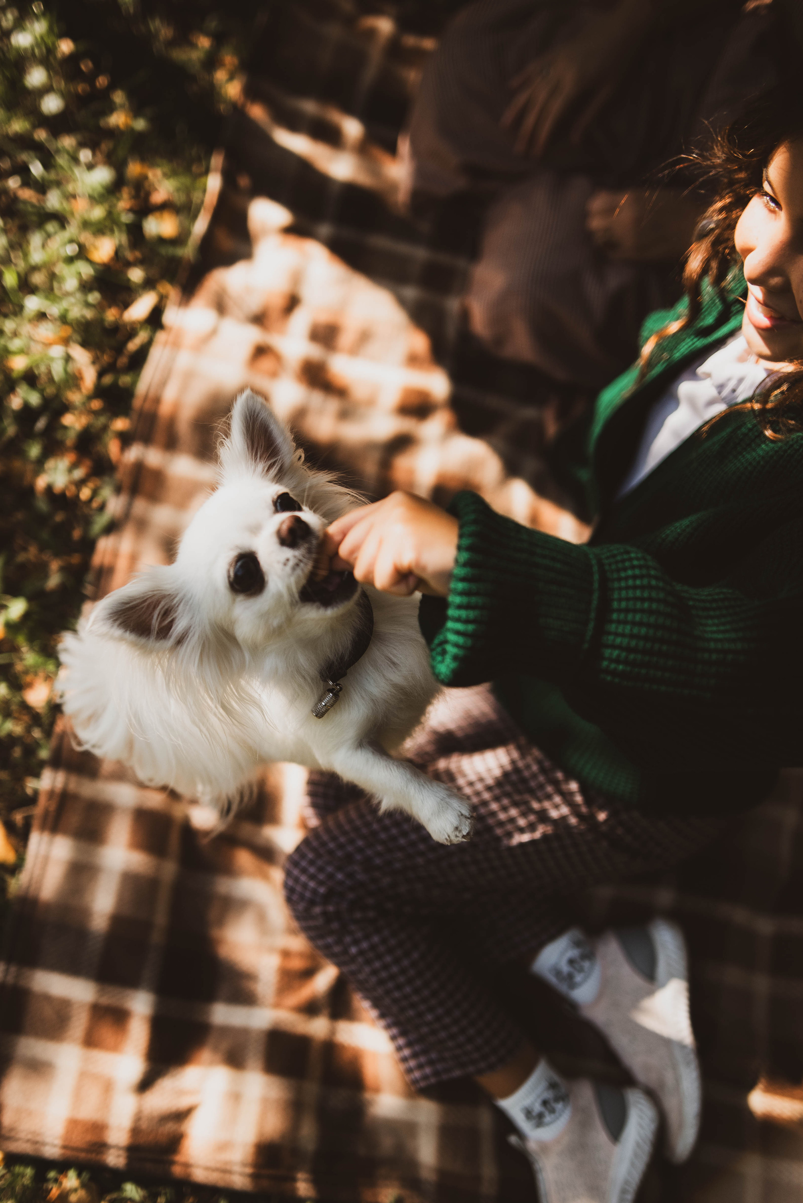 Прогулка по Елагину острову. Семейный и детский фотограф в Санкт-Петербурге Татьяна Дмитренко