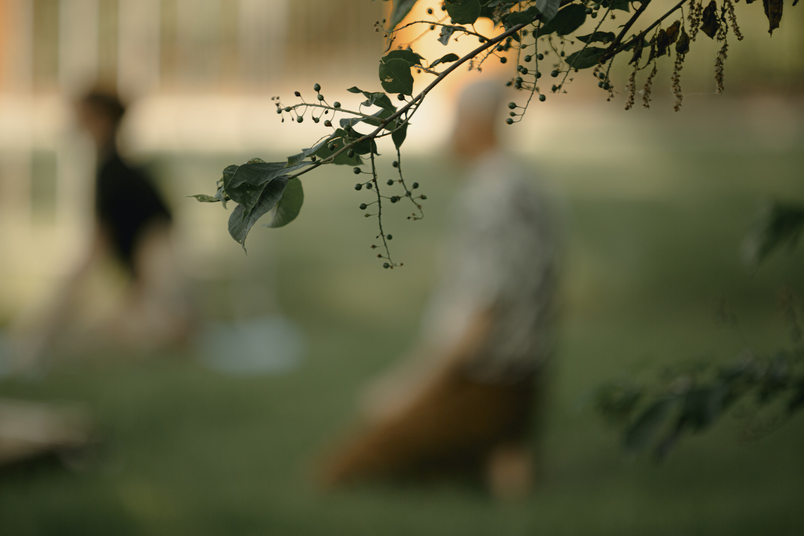 IX Фестиваль Чайной культуры в Тобольске 2025. Арт-фотограф Крис Л. в Тобольске: портрет, семейные, свадьбы