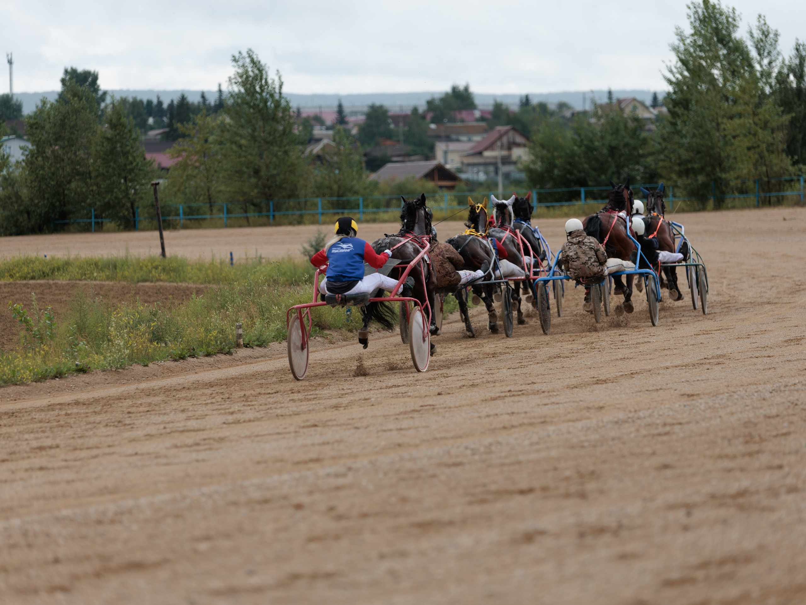 2025. Конный фотограф в Красноярске — Любовь Похабова