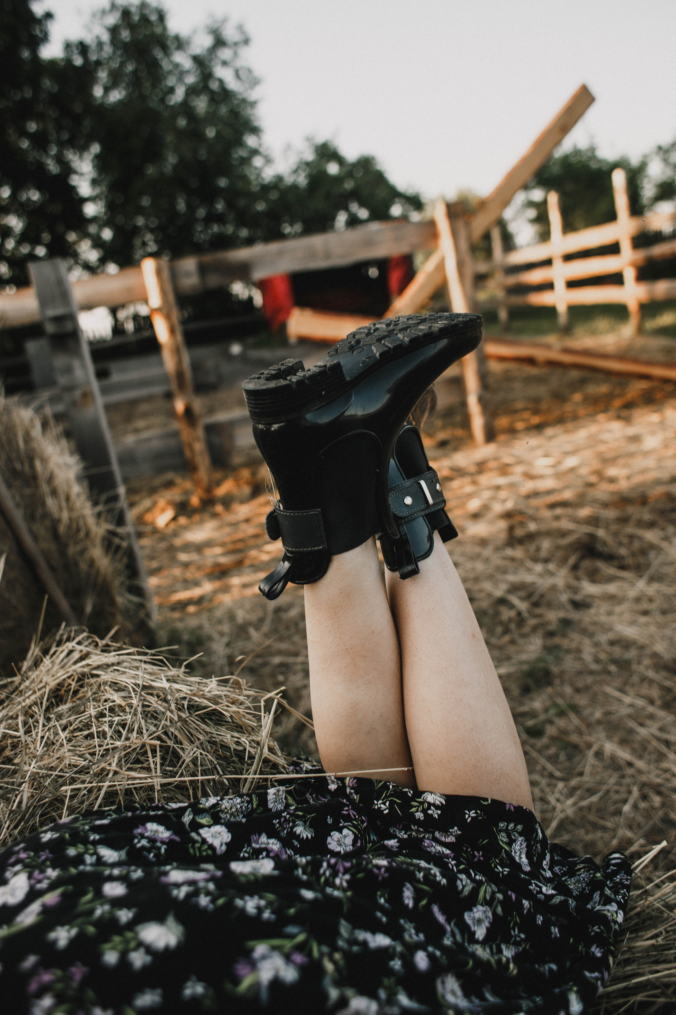 Варвара. Лошади. Закат. Фотограф в Нижнем Новгороде