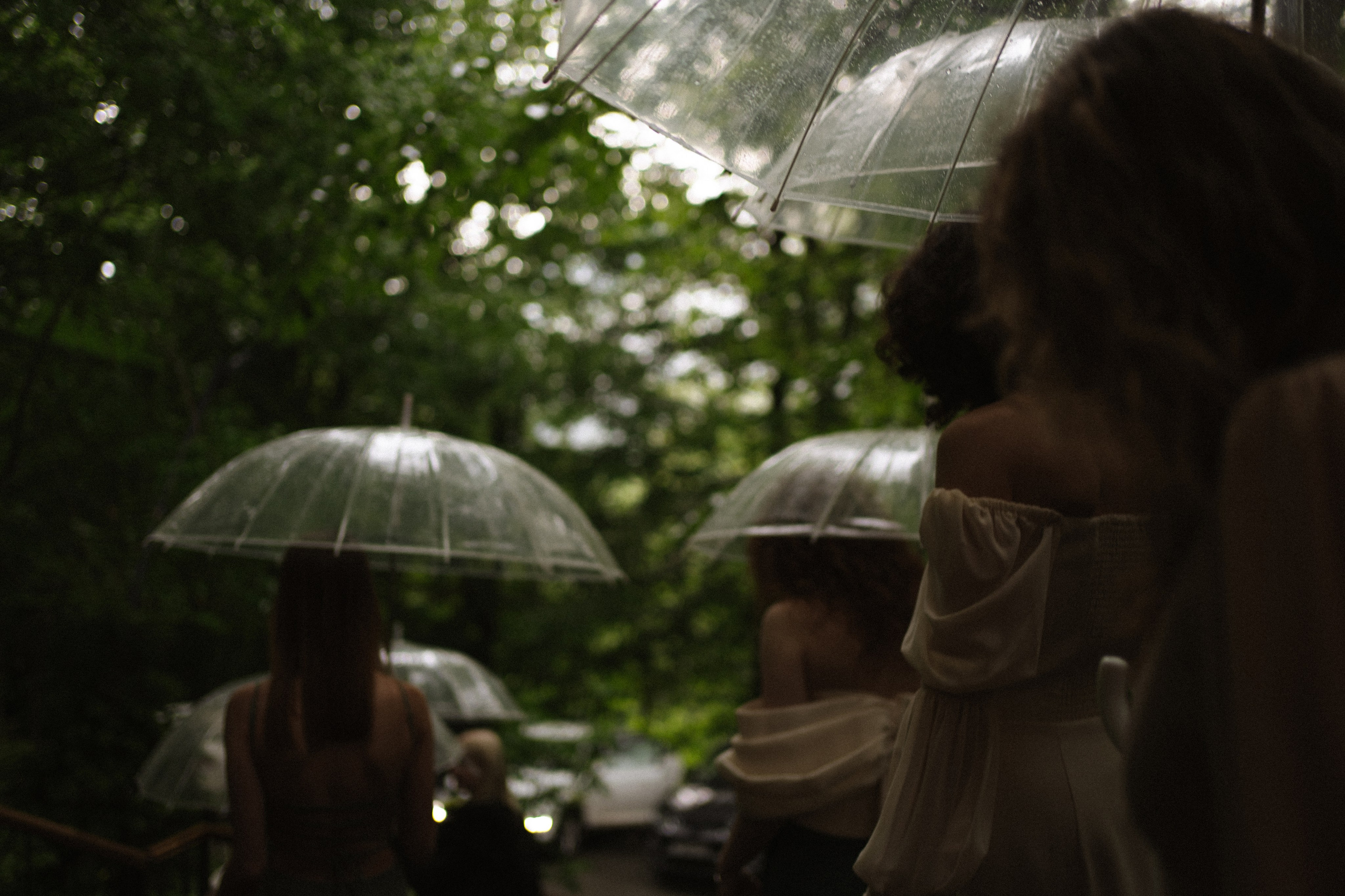 Прячься! Дождь идёт. Сочи. 2024. Никита Погосов