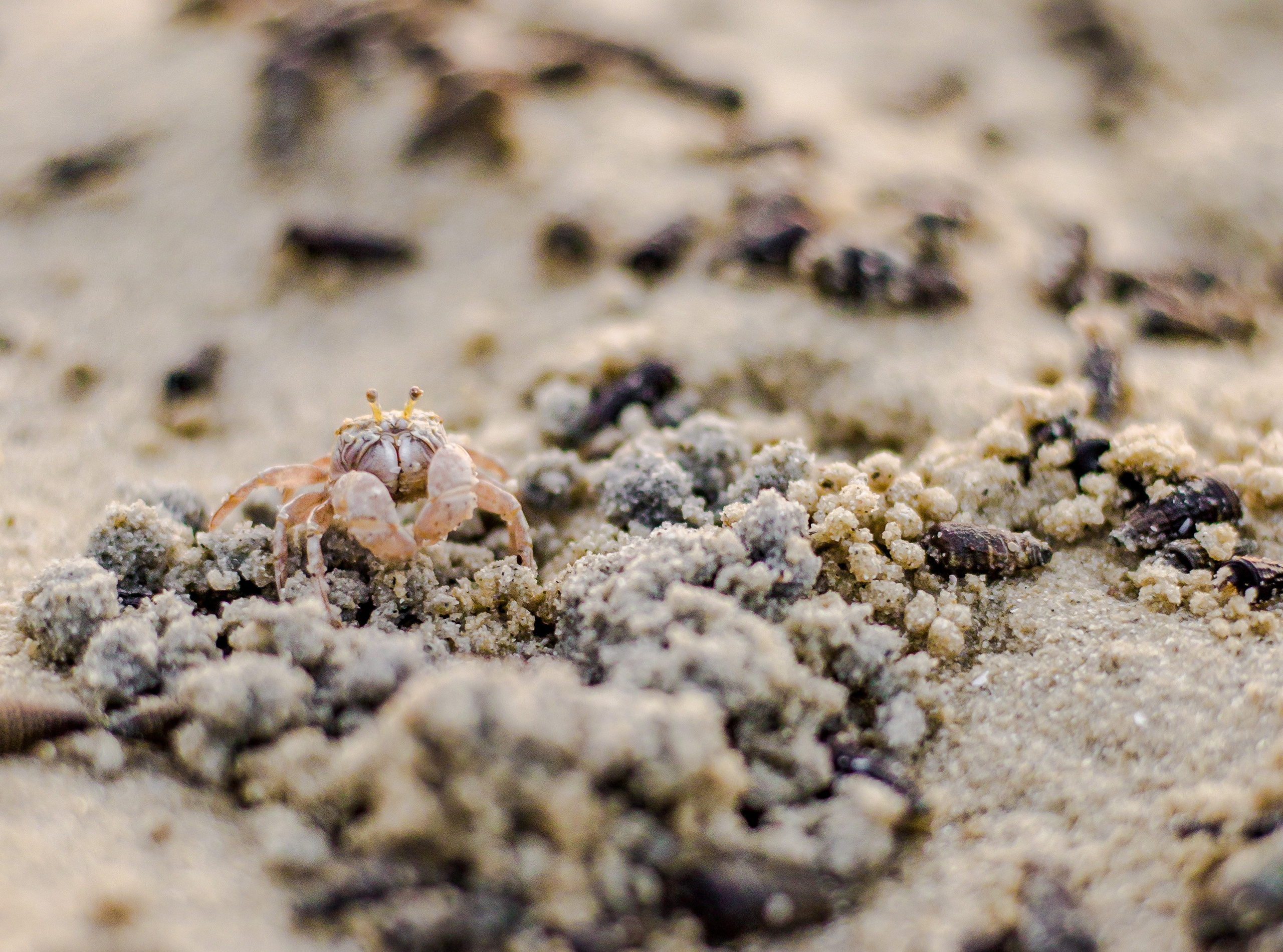 Thailand 2023, Samui. Art Photographer