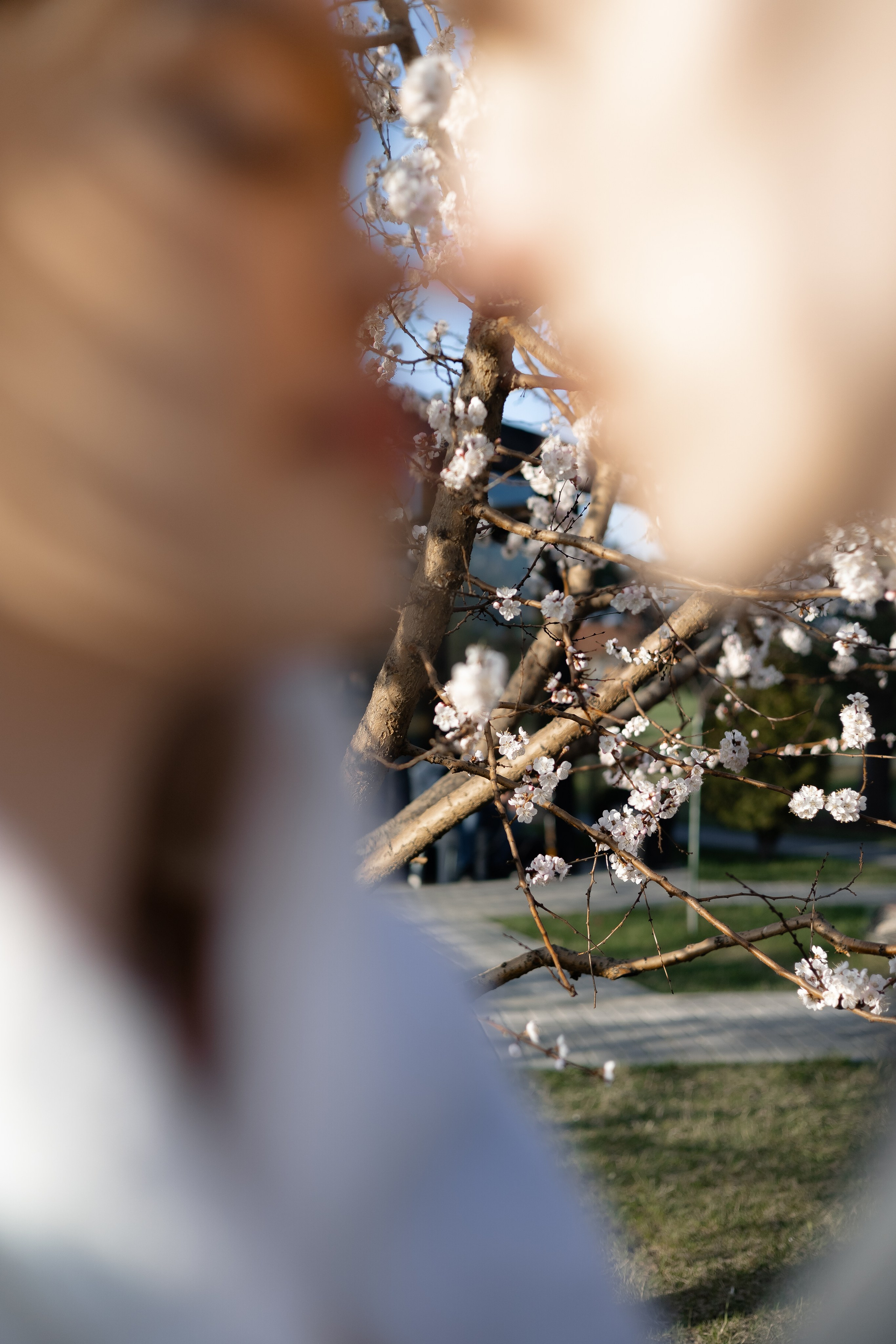 Надежда и Владислав. Свадебный и семейный фотограф в Челябинске. Аврамец Анна