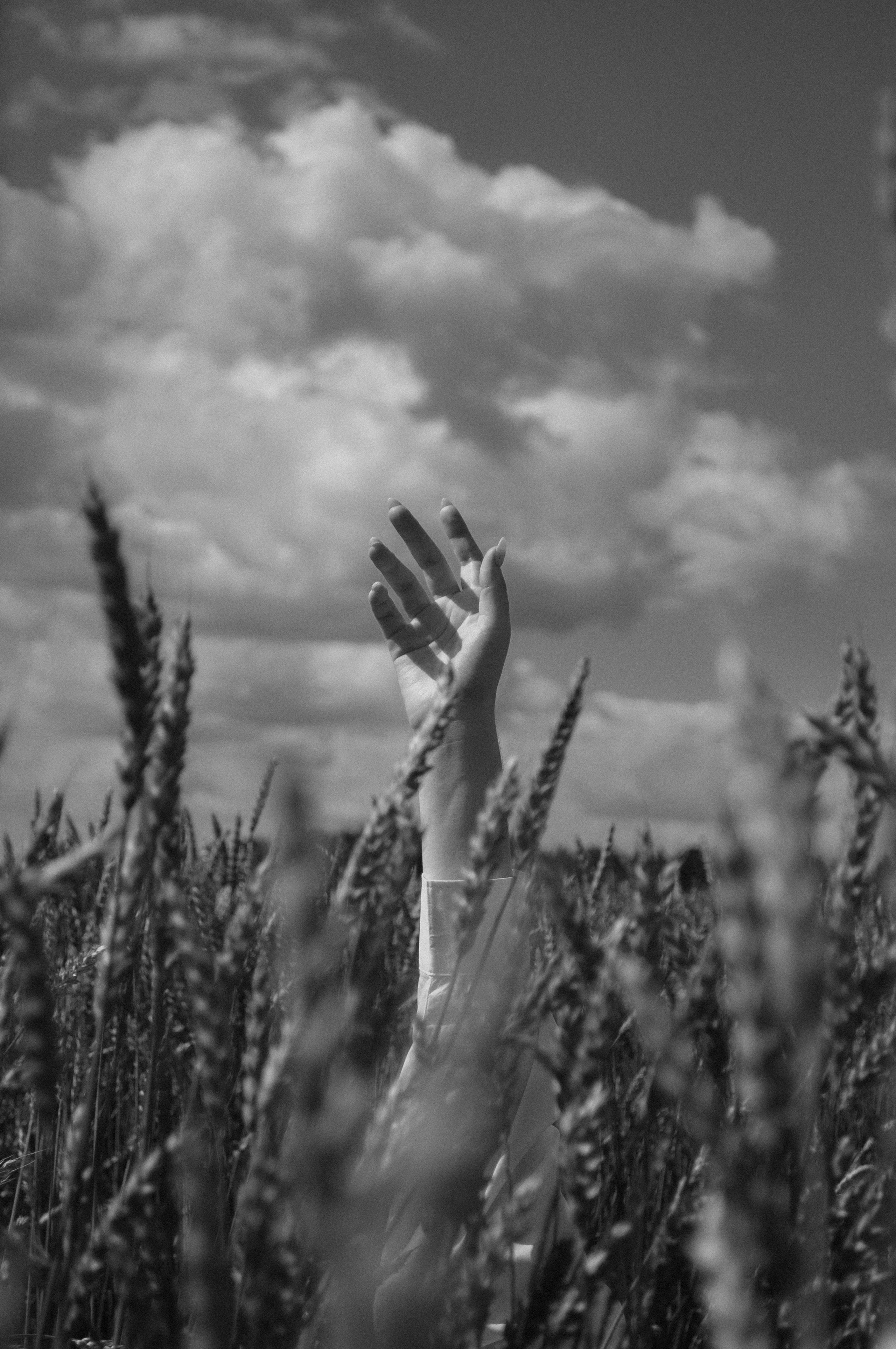 Прогулочная фотосессия. Фотограф Тюмень Александра Звягинцева