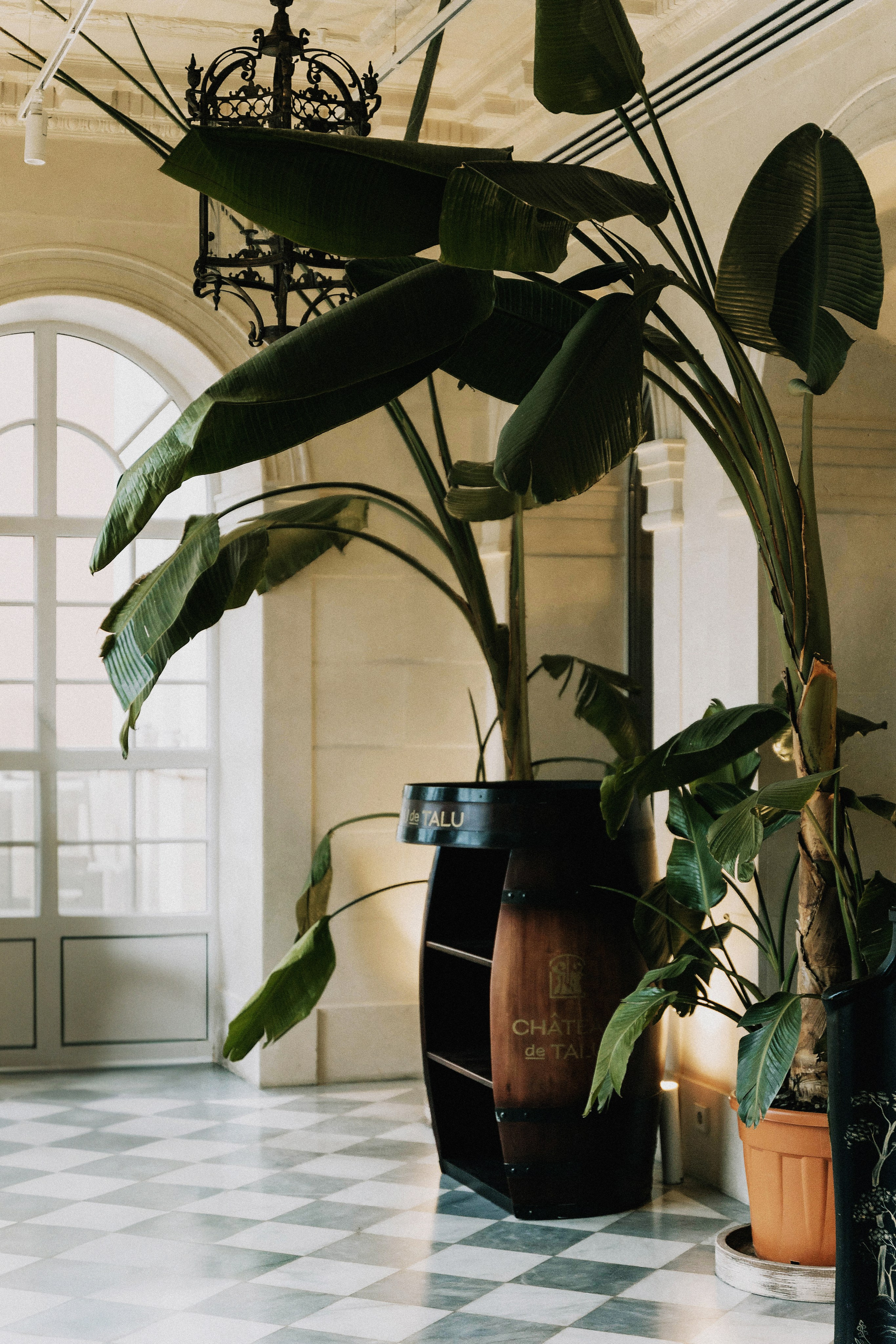 Виктория. Татьяна Тагель