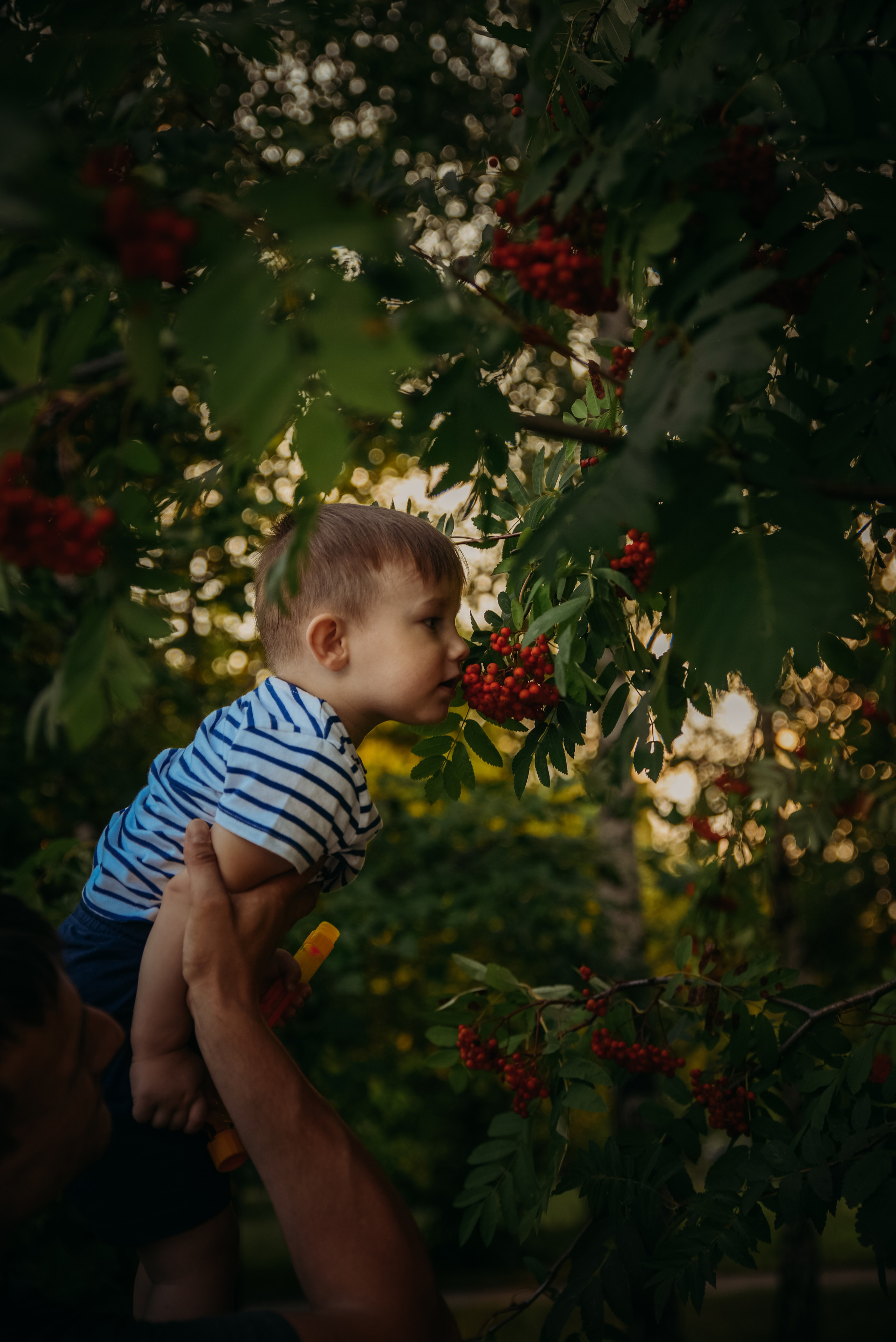Семейные фотопрогулки. Семейный фотограф Олеся Батурина Рязань