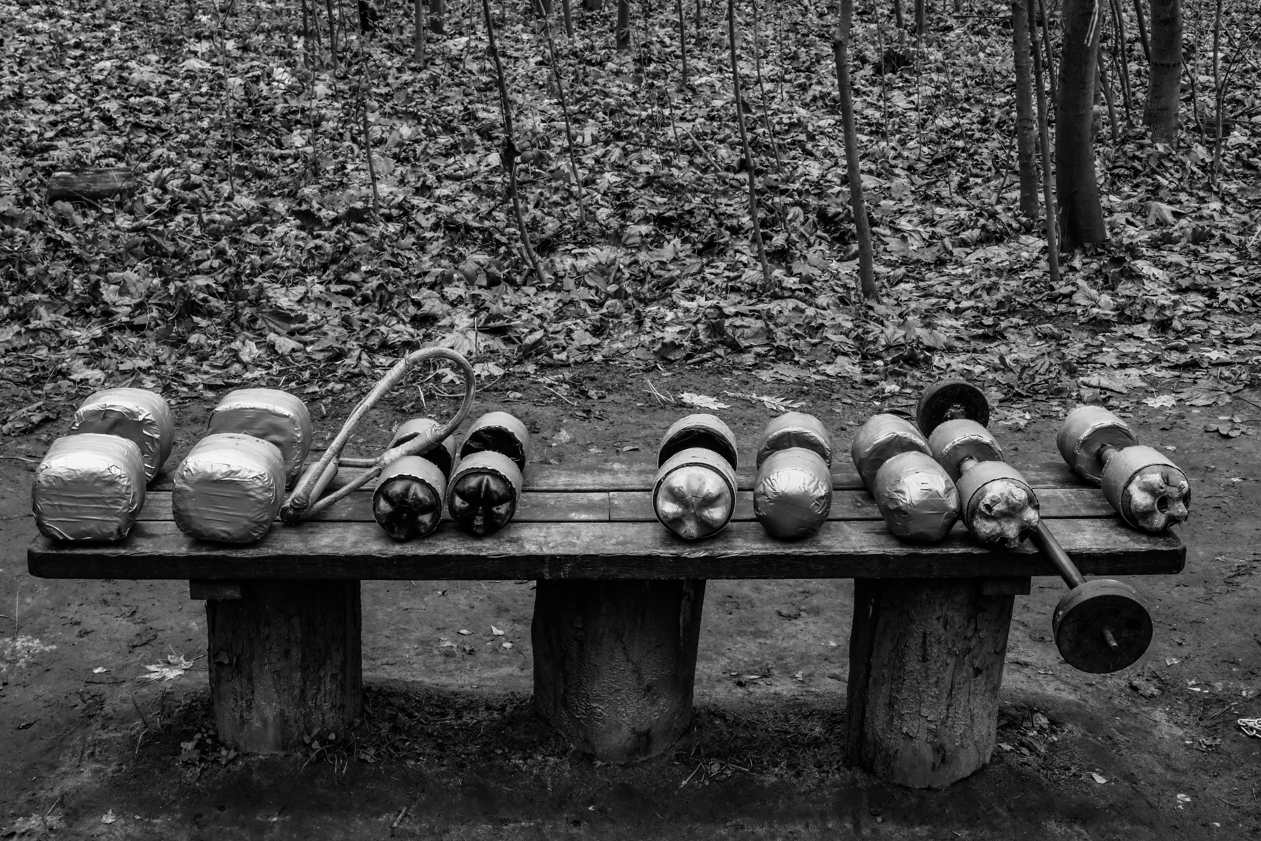 Качалка в лесу — 2022. Стас Привалов