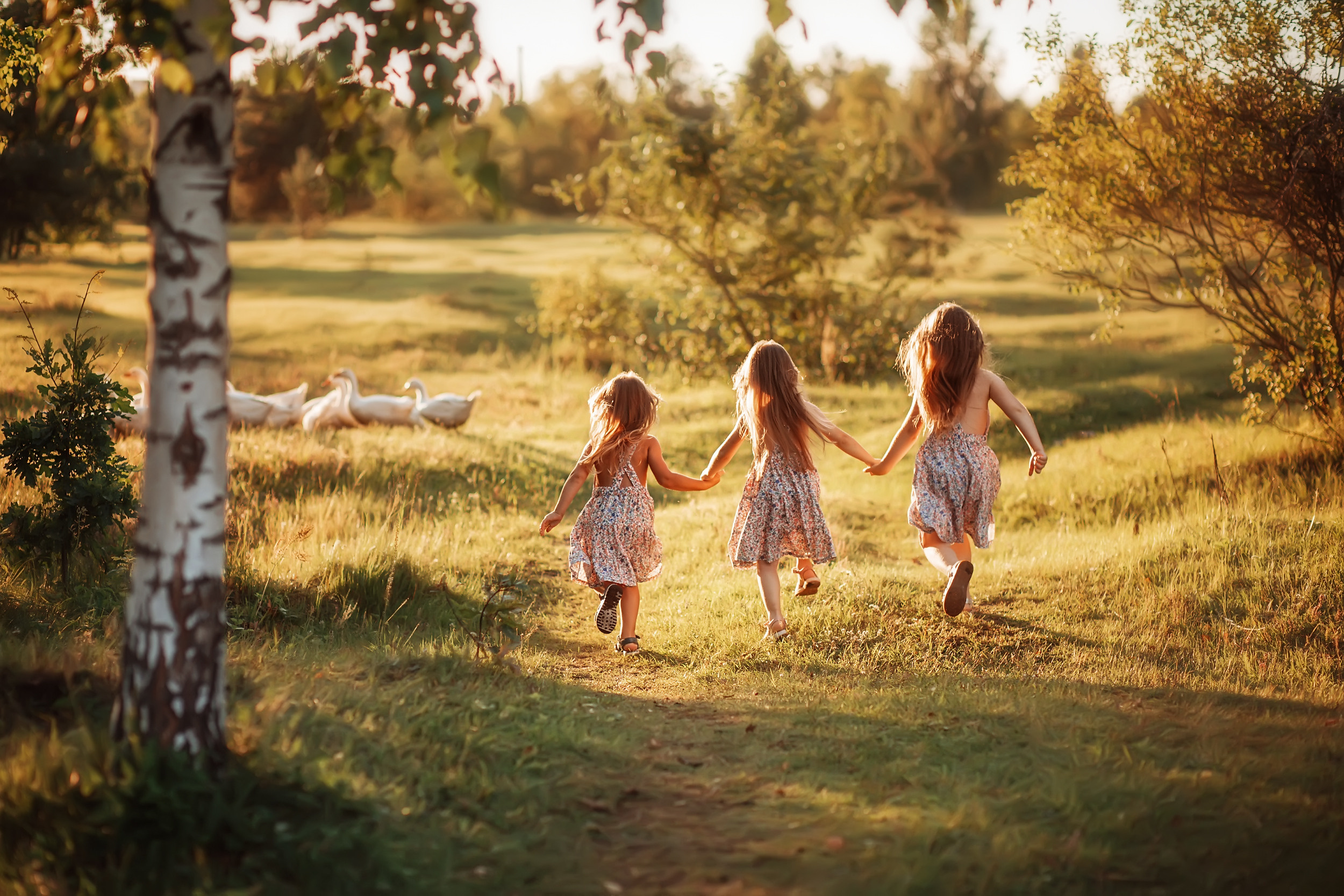 Дети и Гуси. Фотохудожник в Брянске Додонова Ольга